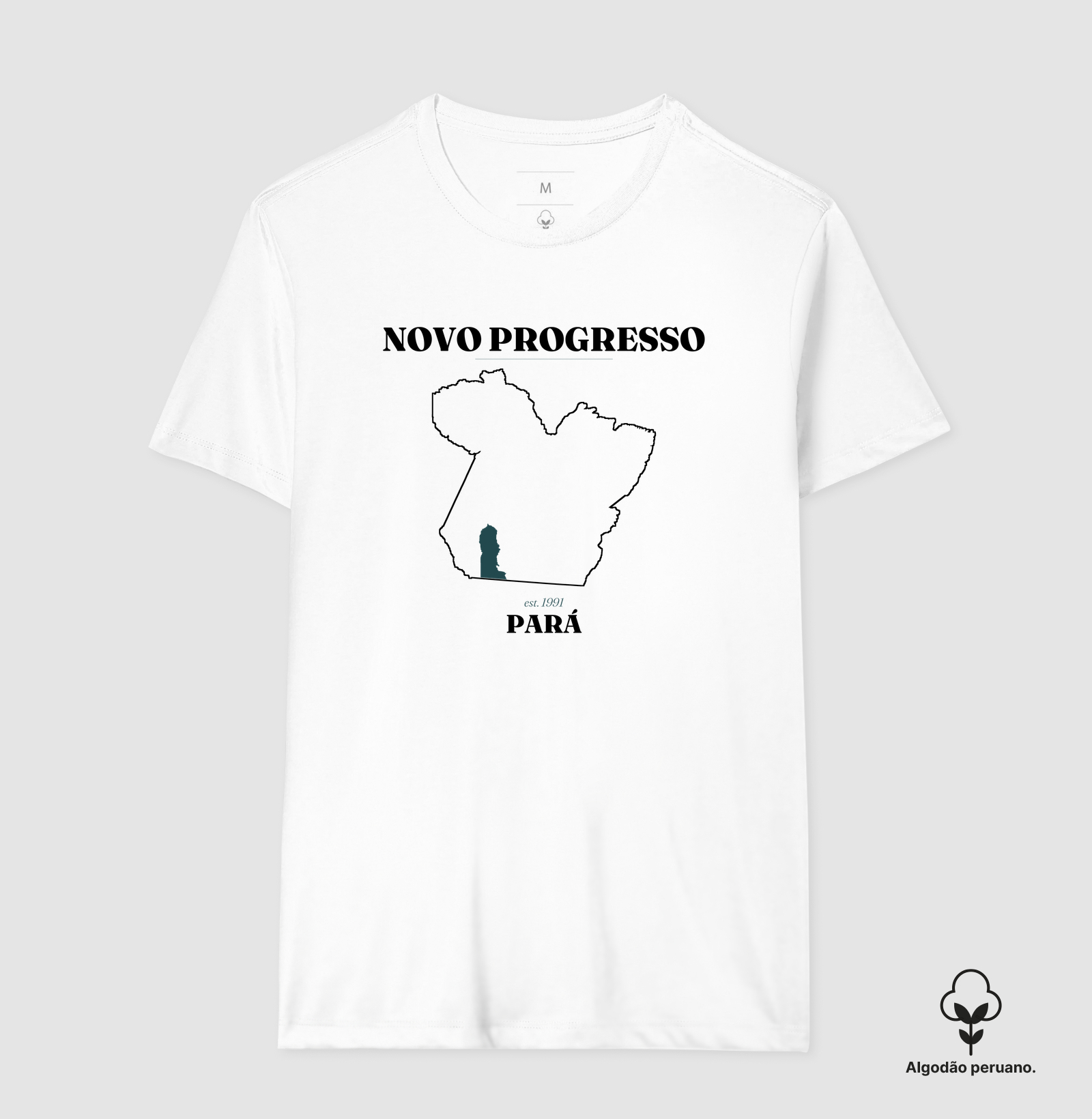 Novo Progresso | Legado PA - Imagem 3