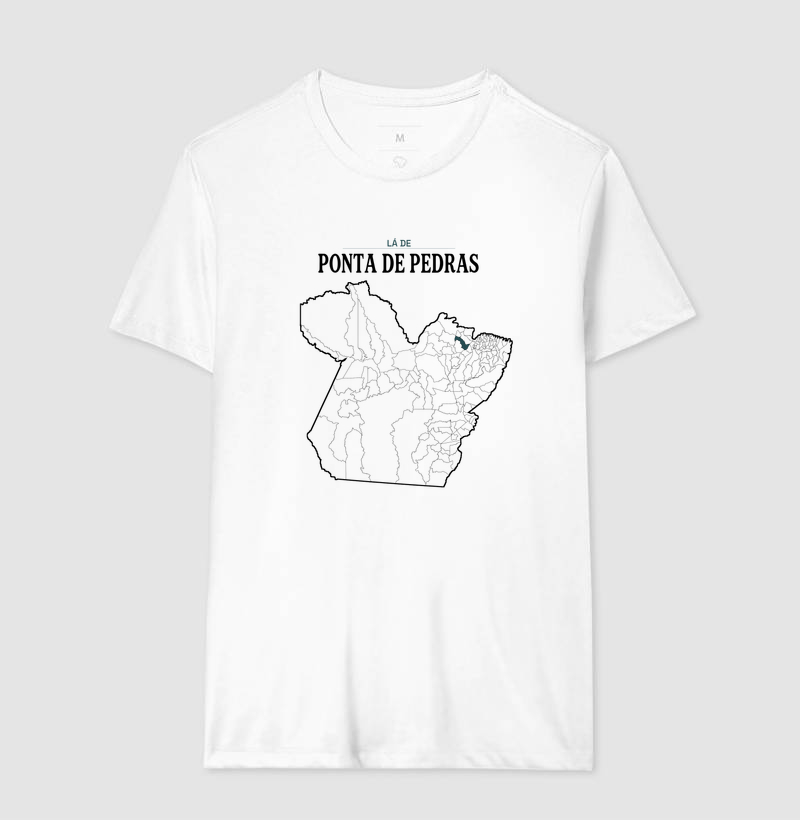 Ponta de Pedras | Território PA - Imagem 4