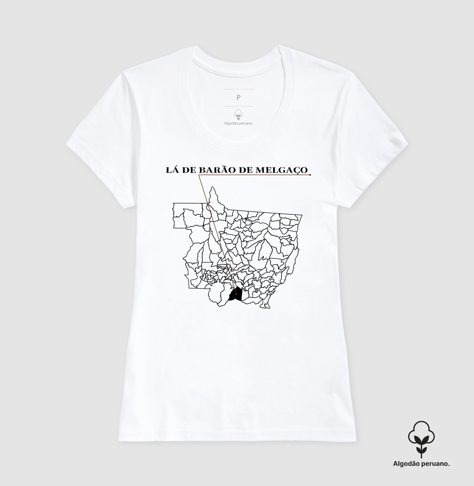 Barão de Melgaço | Origem MT - Imagem 6
