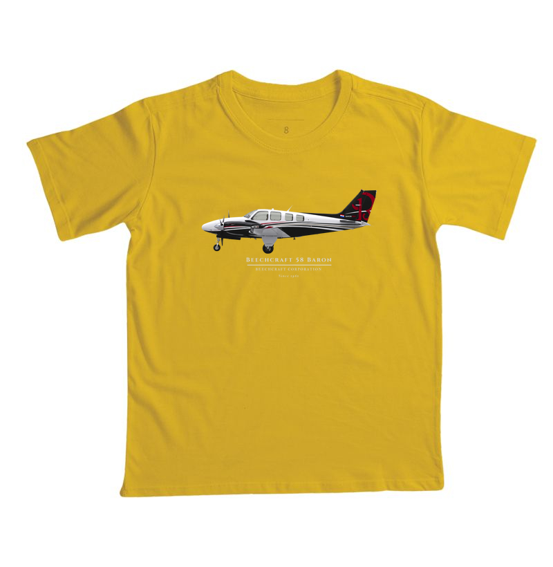 Beechcraft Baron 58 - Profile - Imagem 4