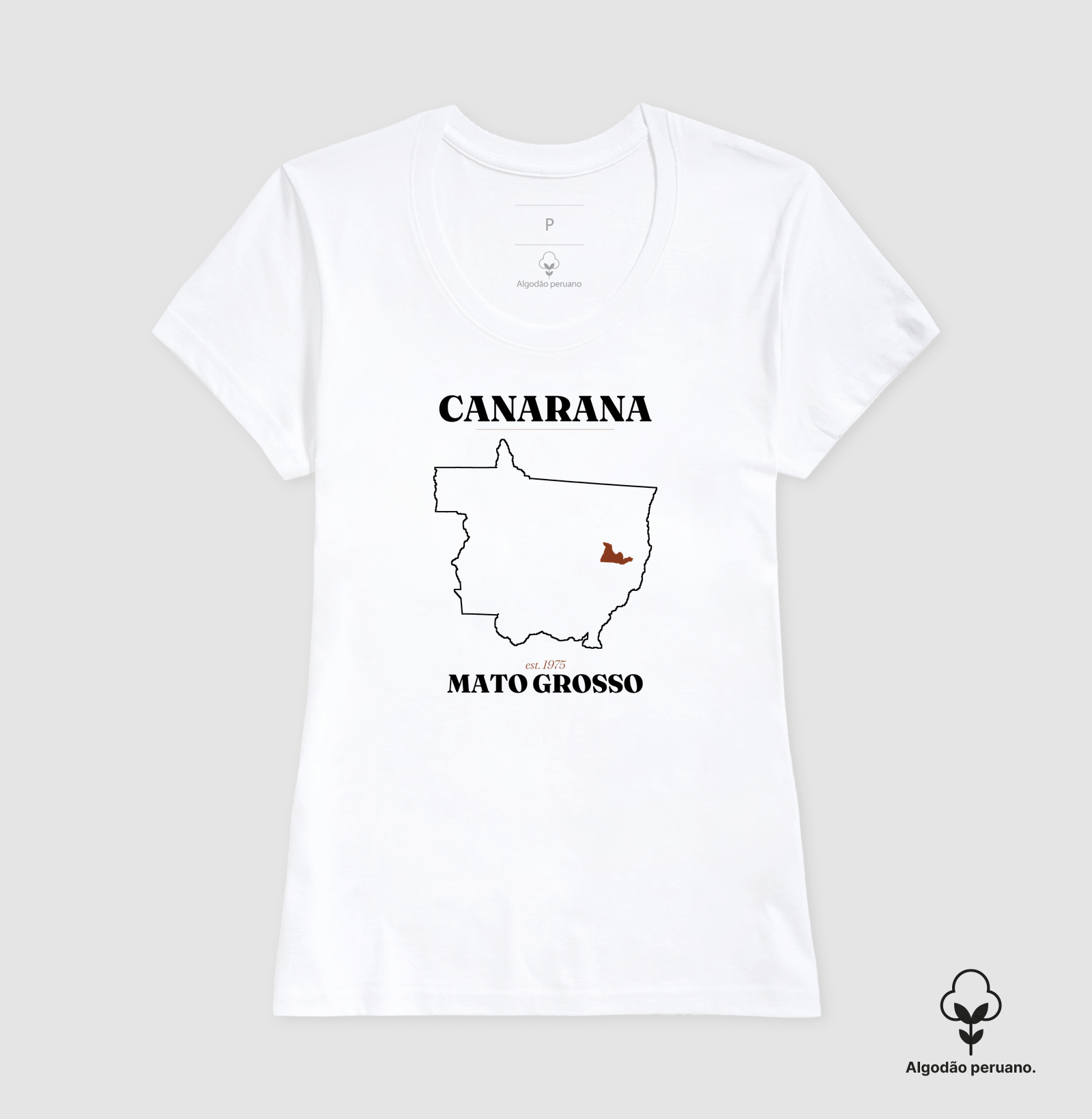 Canarana | Legado MT - Imagem 4