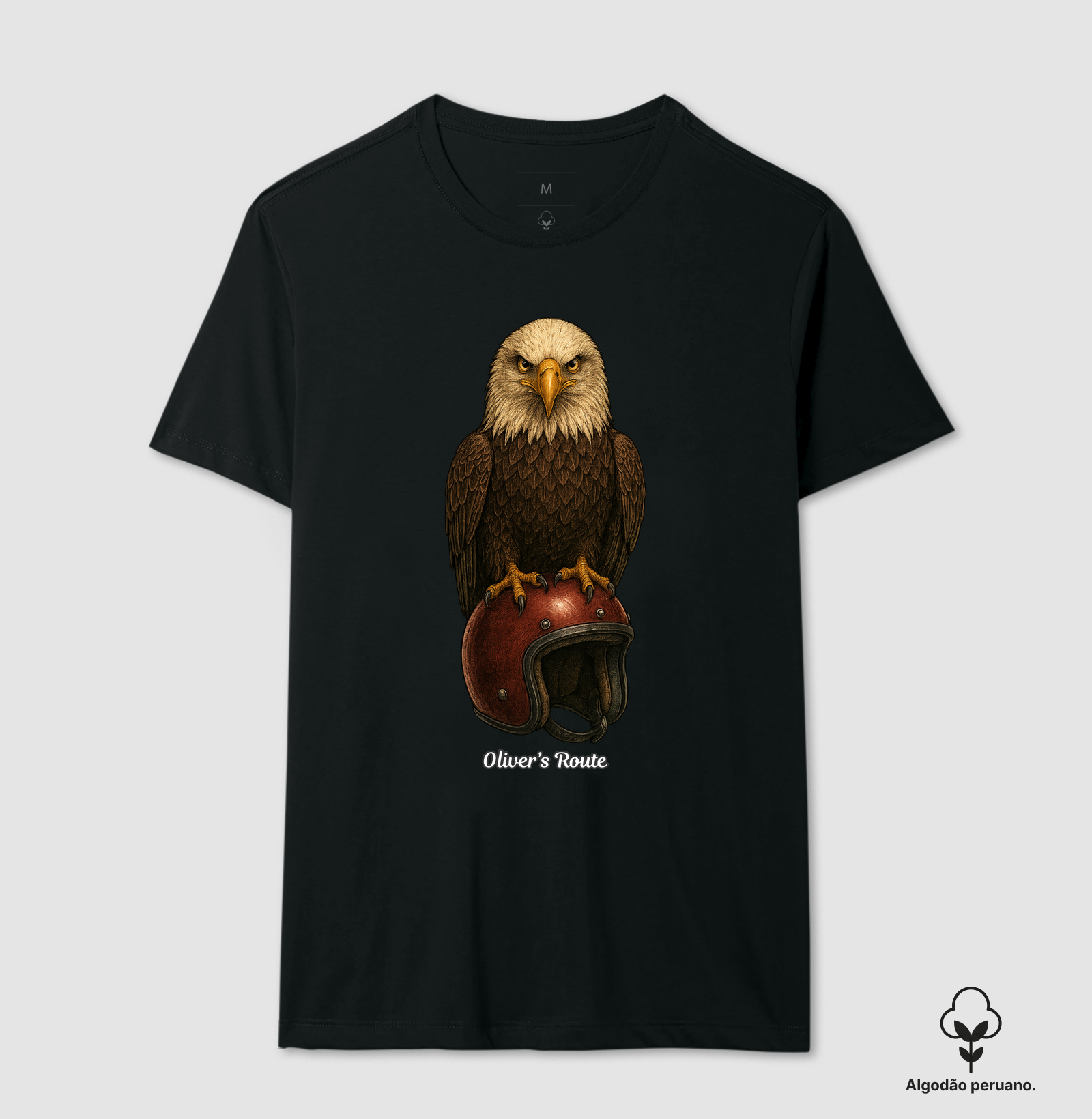 The Eagle and the Helmet - Imagem 5