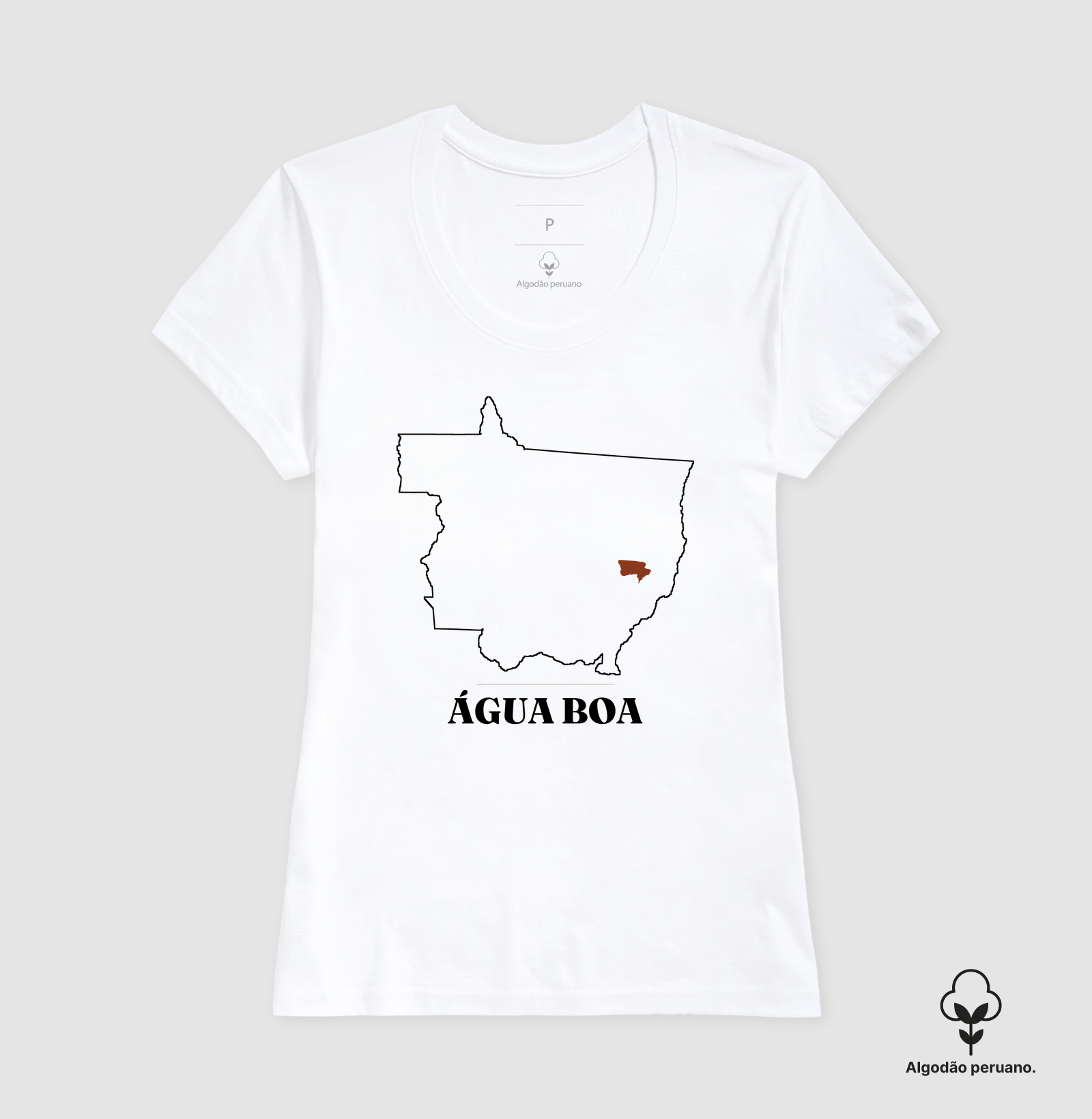 Água Boa | Traço MT - Imagem 2