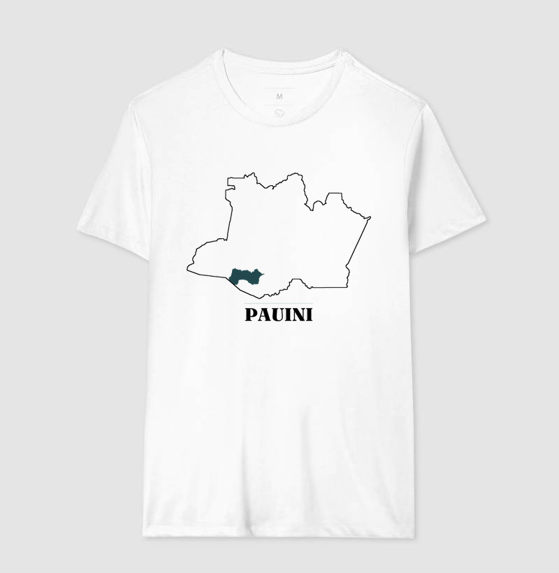 Pauini | Traço AM - Imagem 4