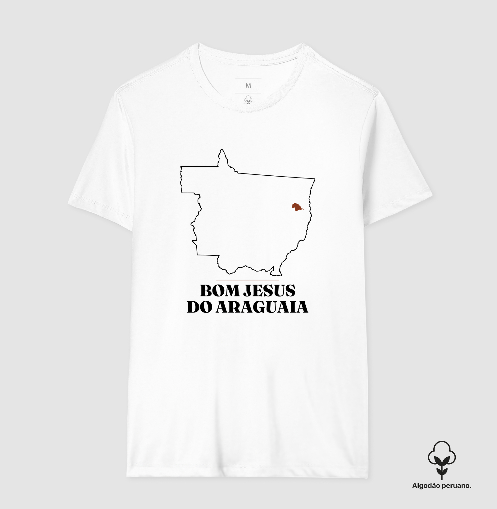 Bom Jesus do Araguaia | Traço MT - Imagem 4