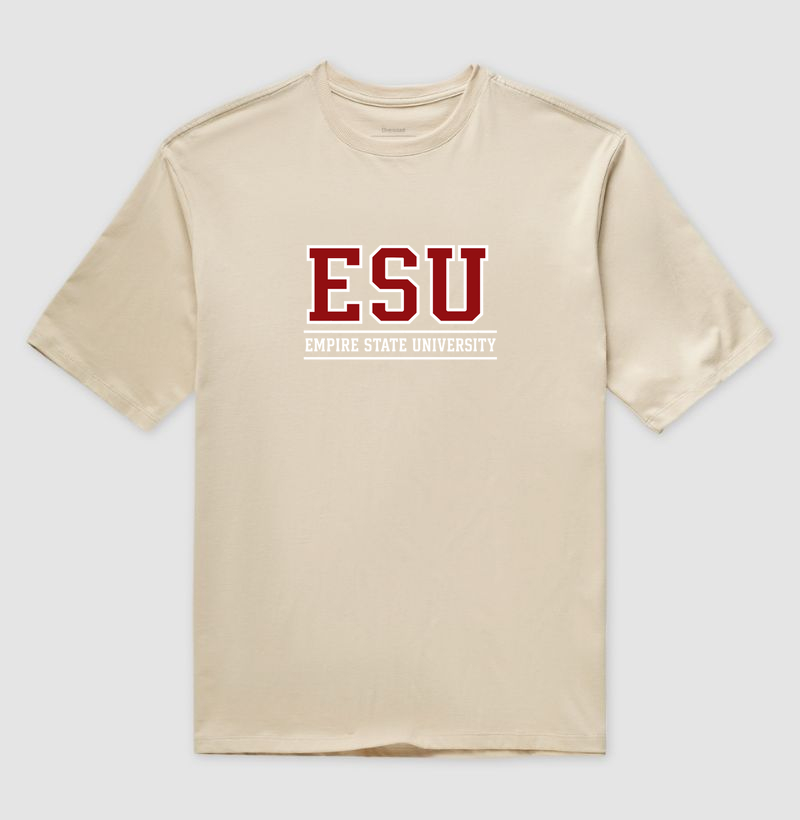 Empire State University - Imagem 3