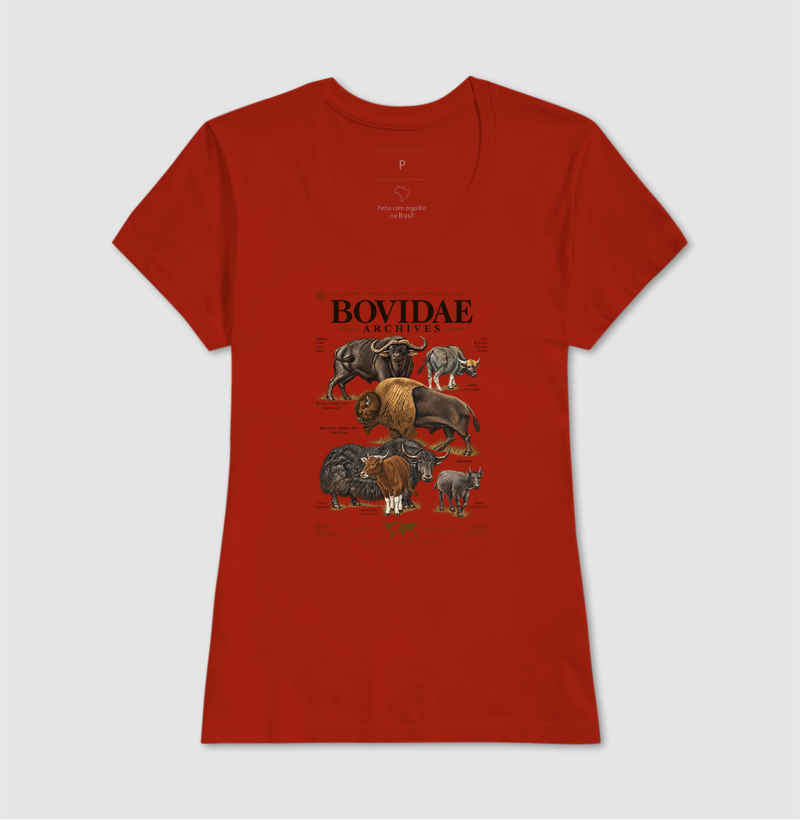 Bovidae Archives - Imagem 11