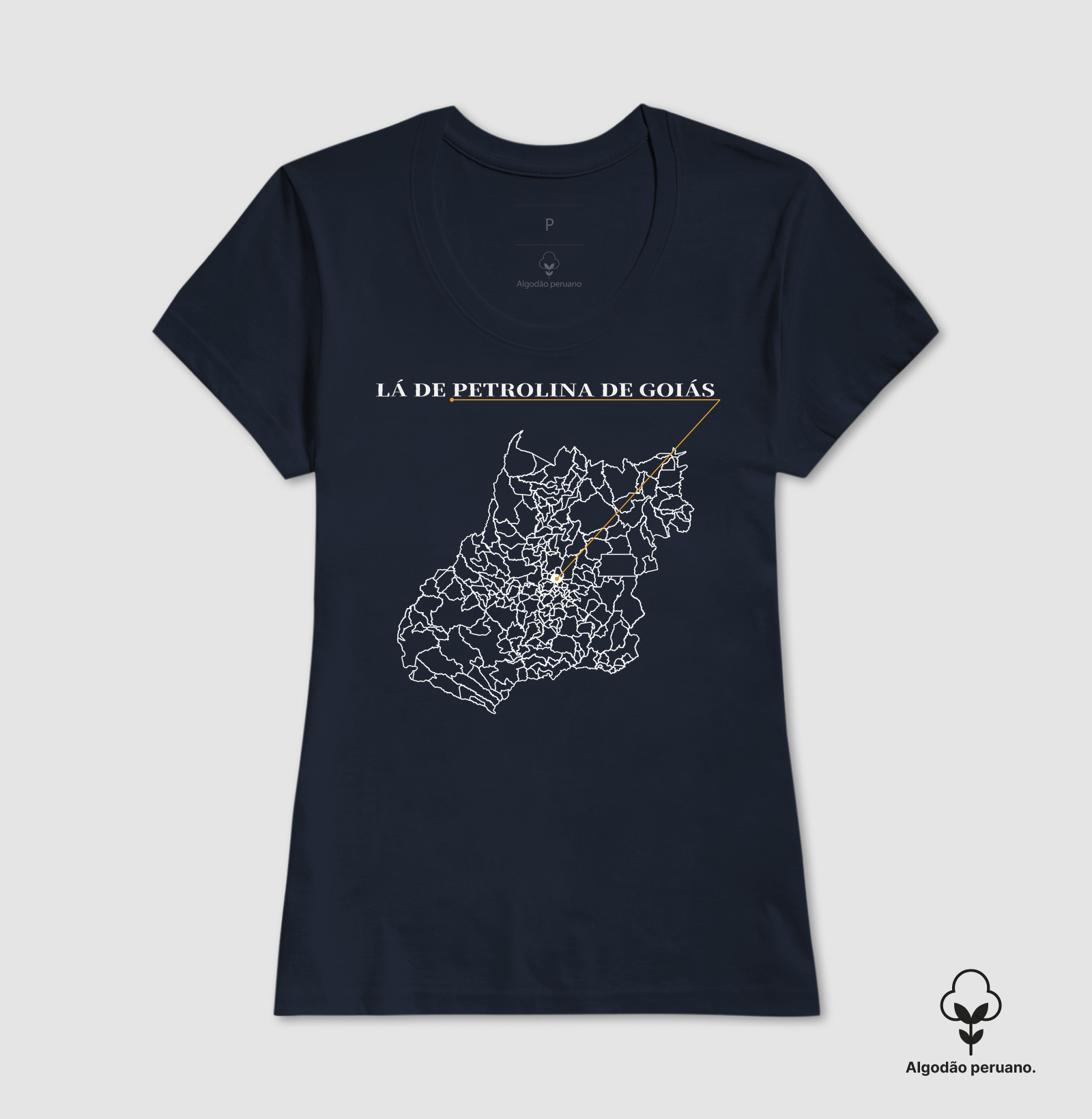 Petrolina de Goiás | Origem GO - Imagem 2