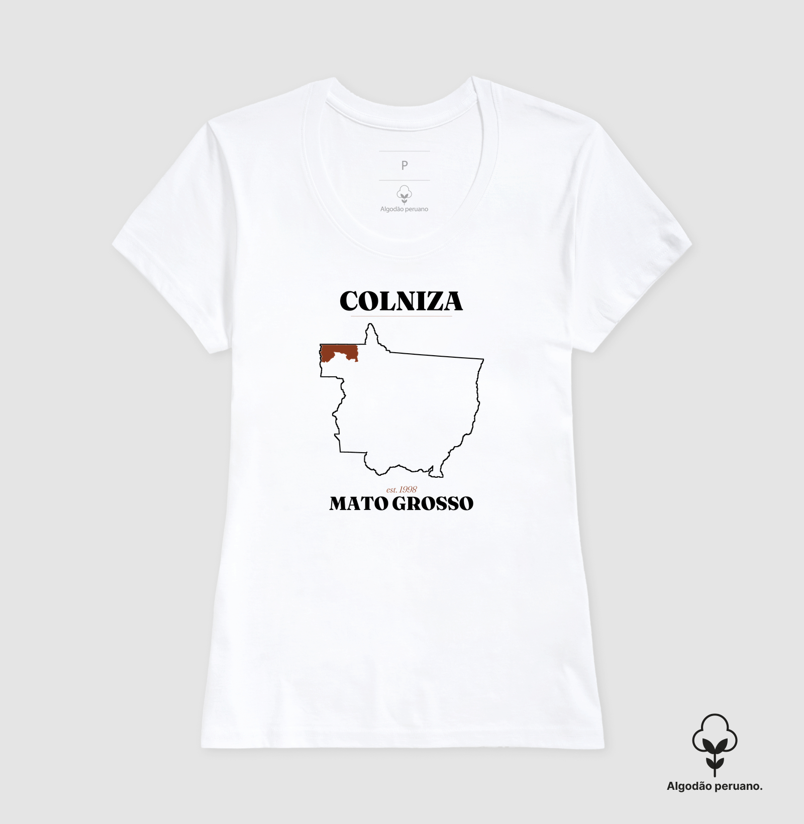 Colniza | Legado MT - Imagem 2