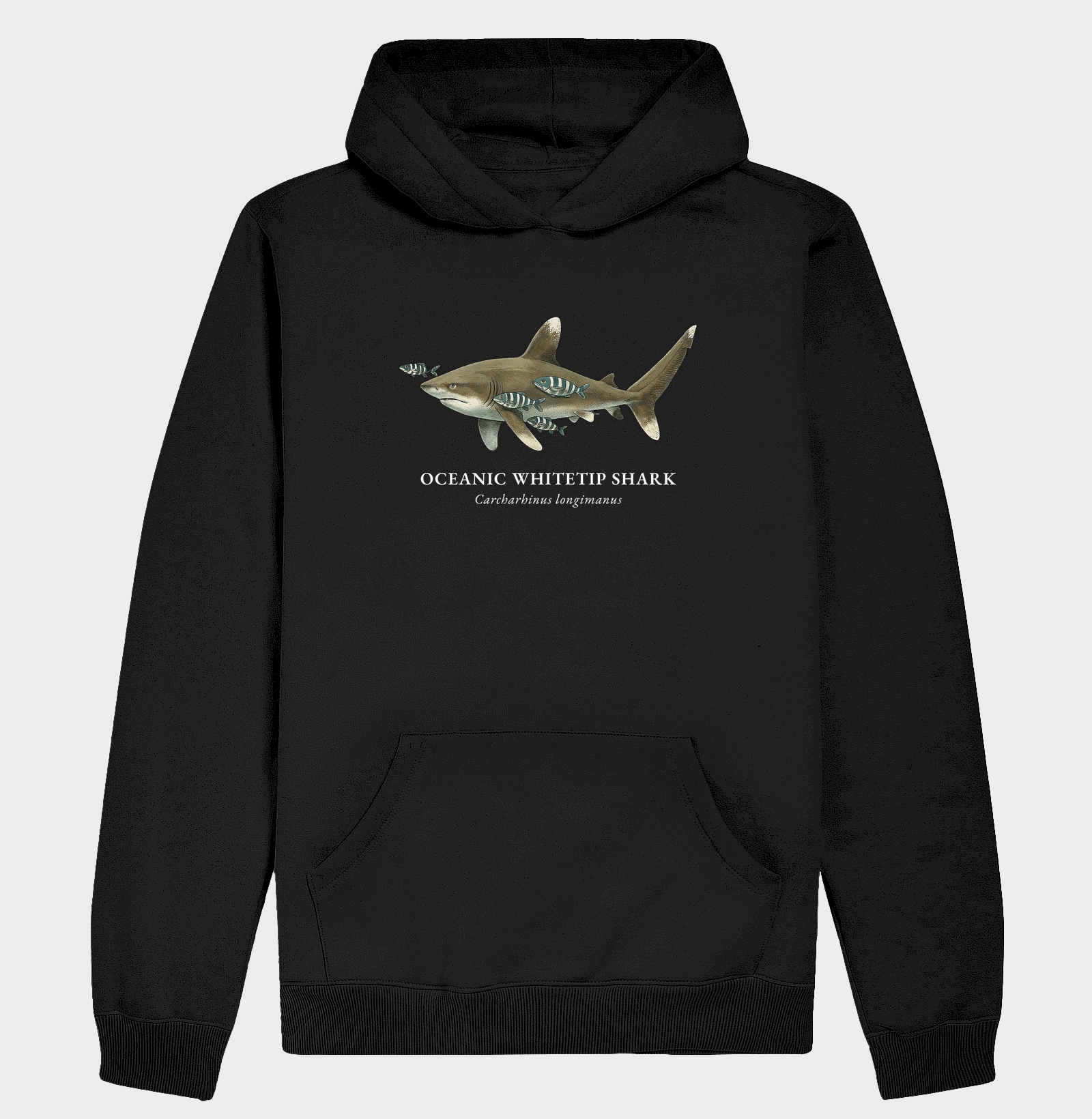 Oceanic Whitetip Shark - Imagem 4
