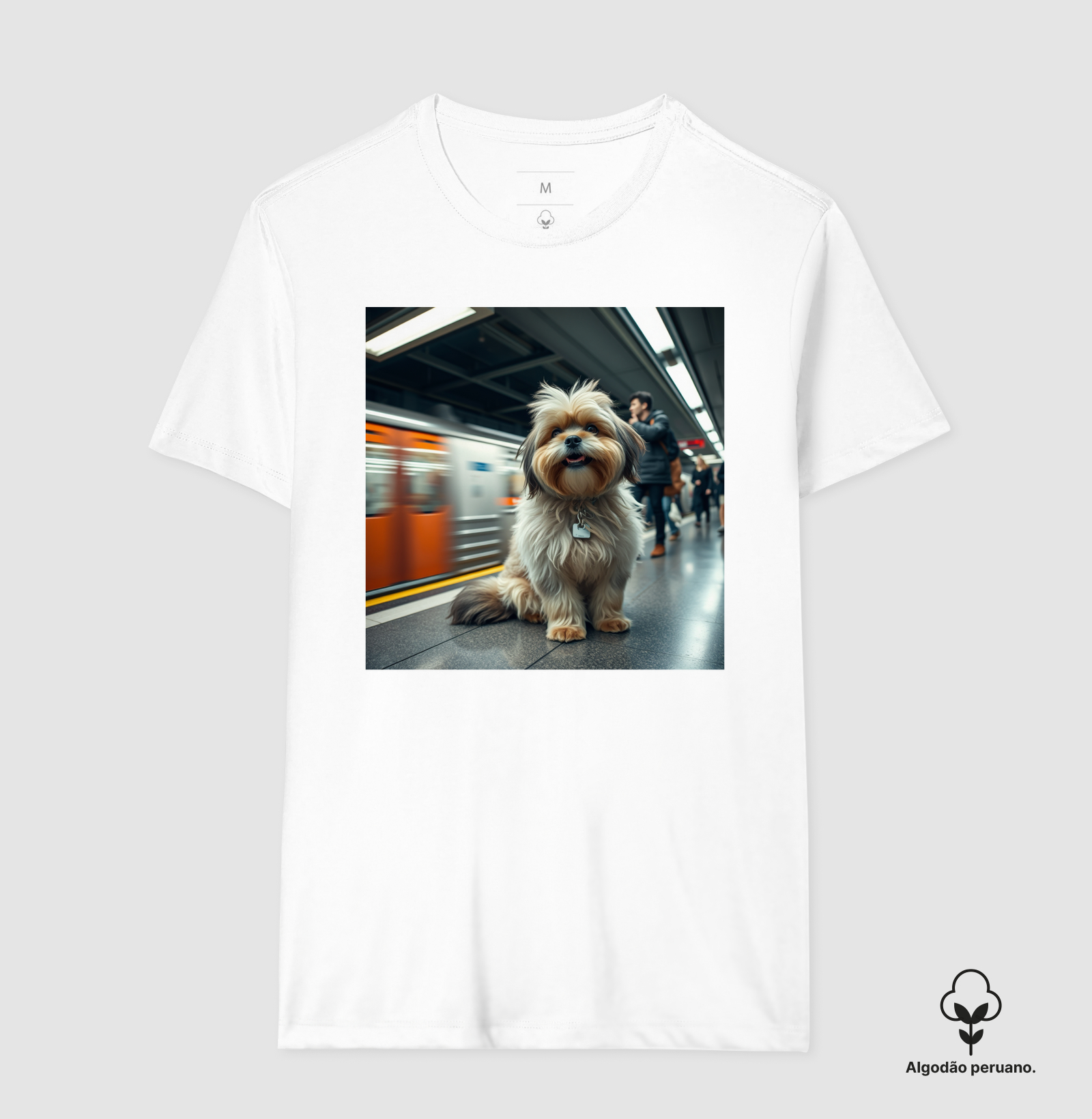 Camisa 6