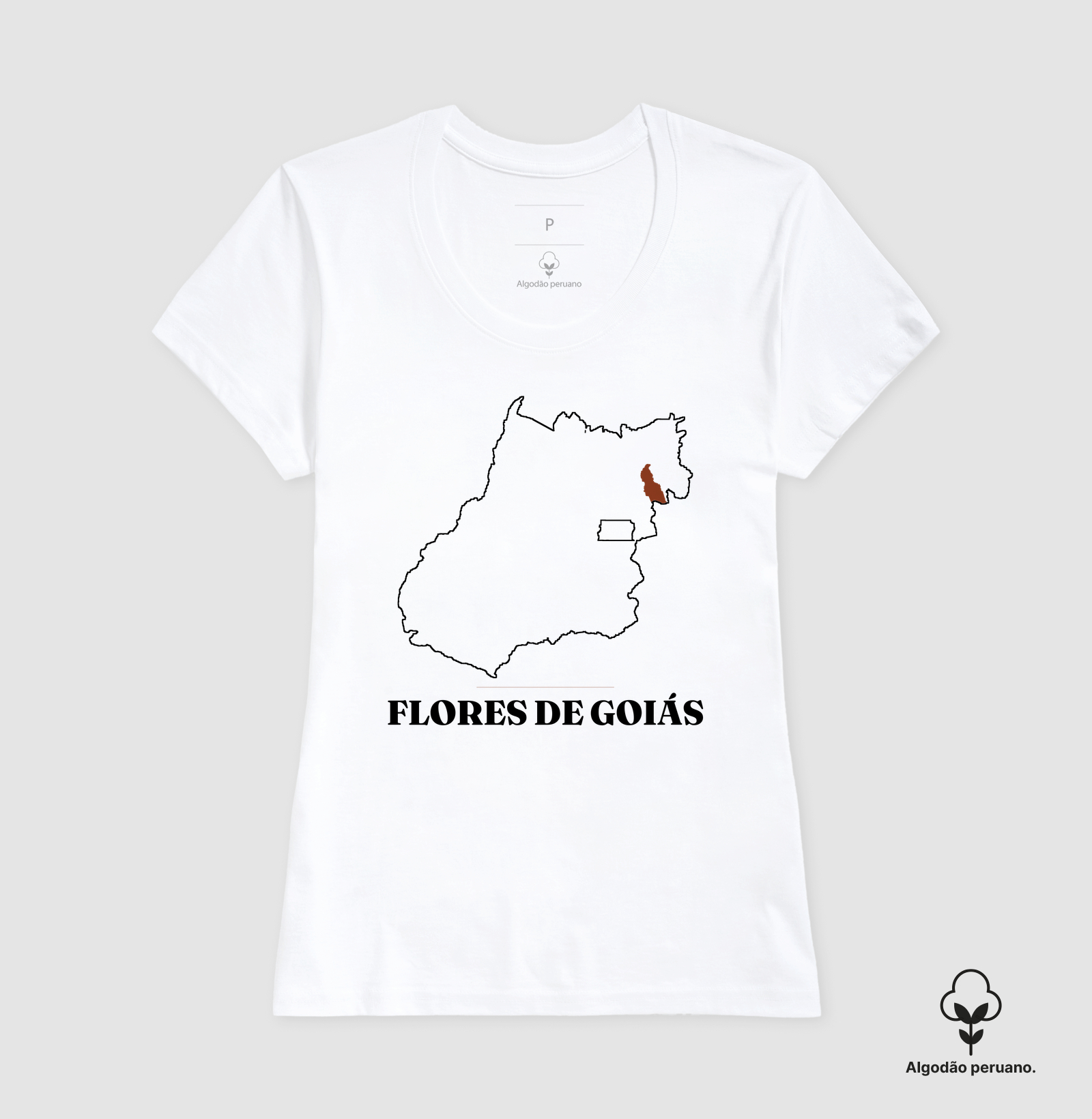 Flores de Goiás | Traço GO - Imagem 9