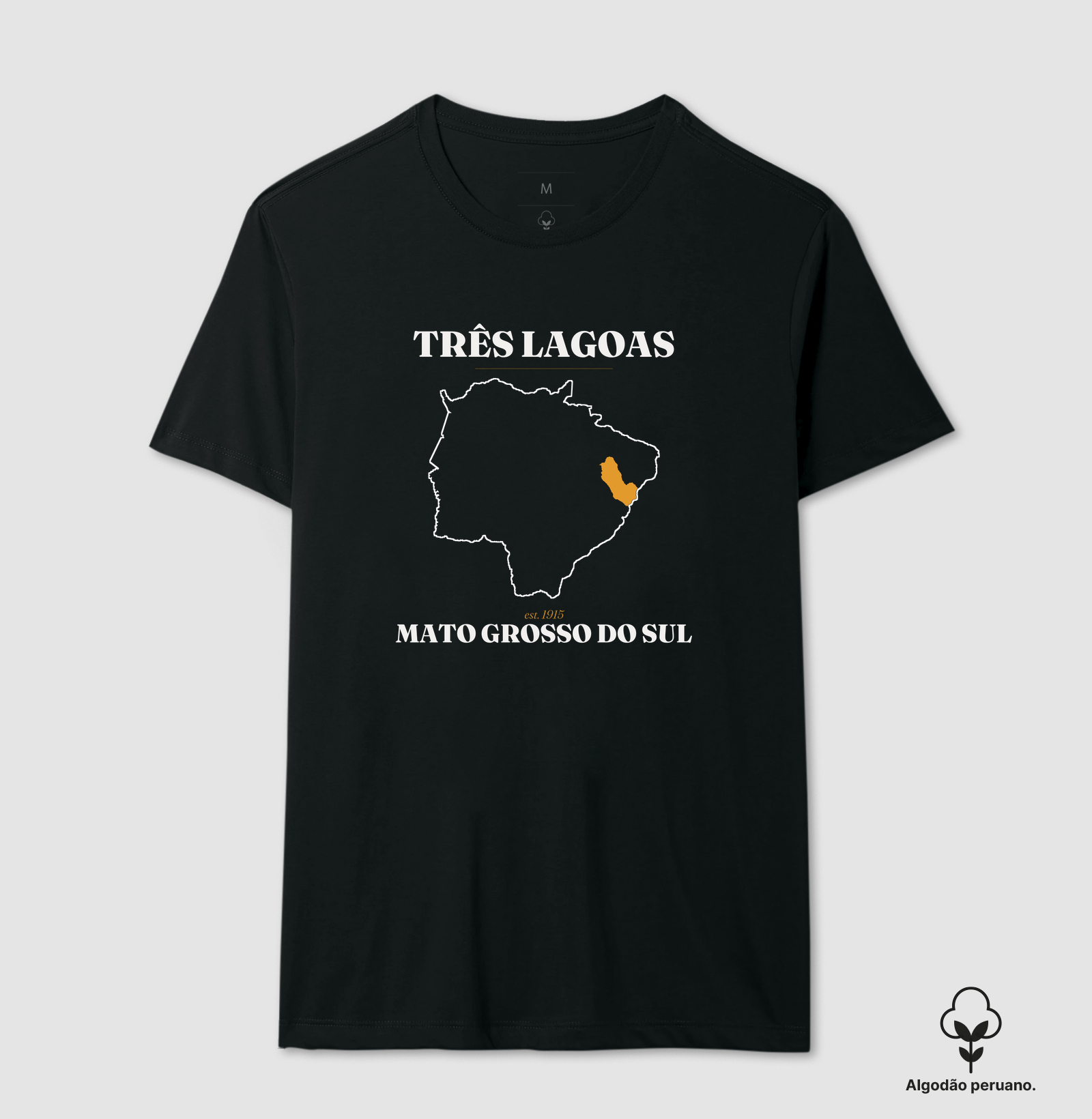 Três Lagoas | Legado MS - Imagem 2