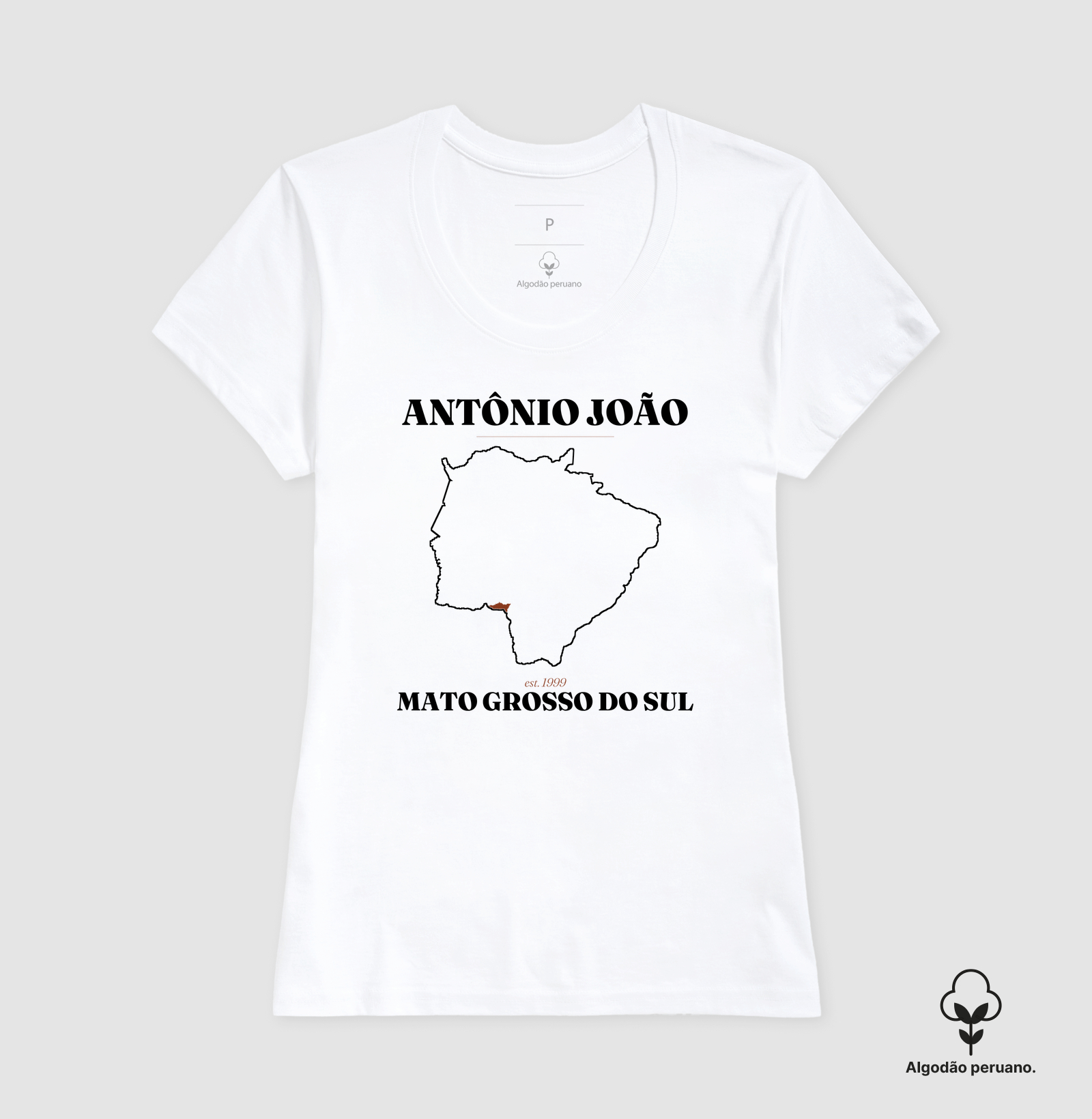 Antônio João | Legado MS - Imagem 7