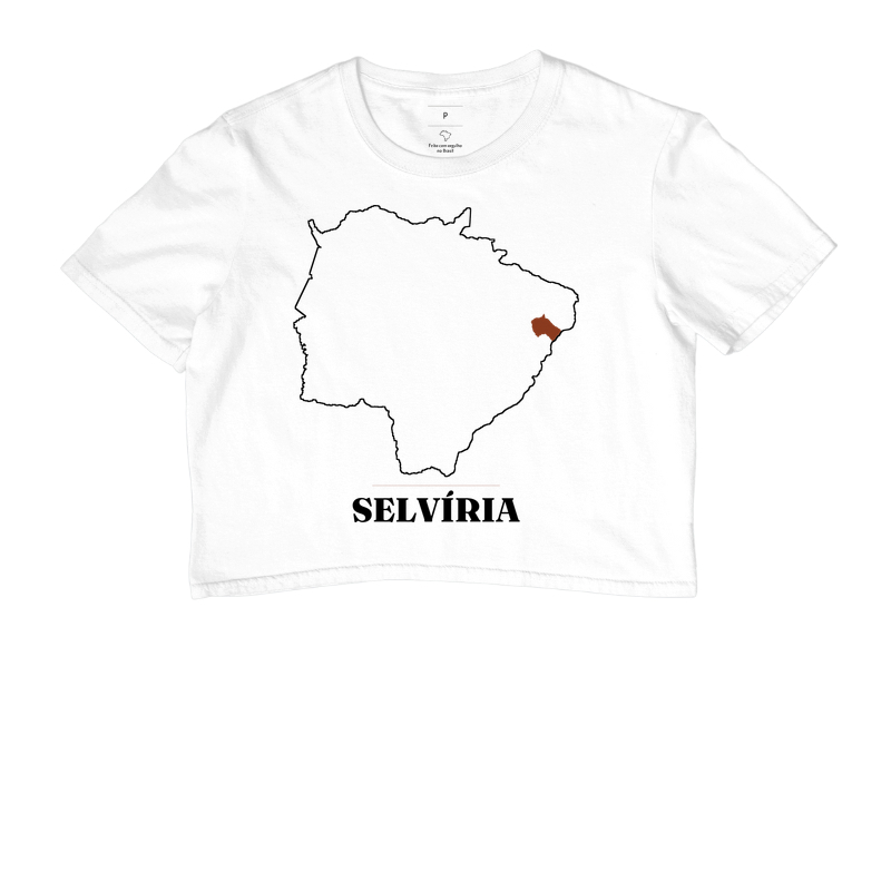 Selvíria | Traço MS - Imagem 3