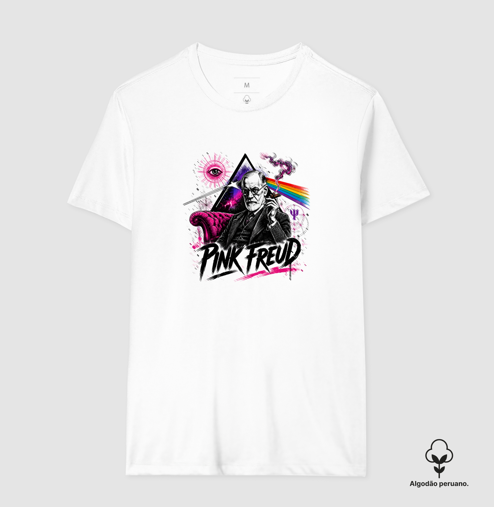 Pink Freud - Rock e Filosofia - Imagem 4