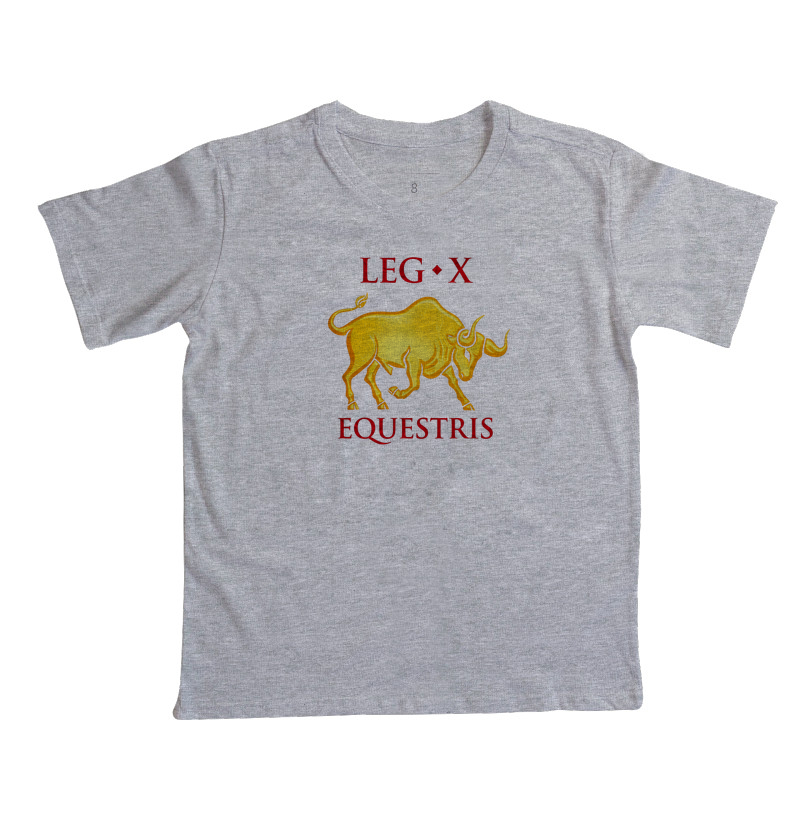 LEGIO — X Equestris - Imagem 6