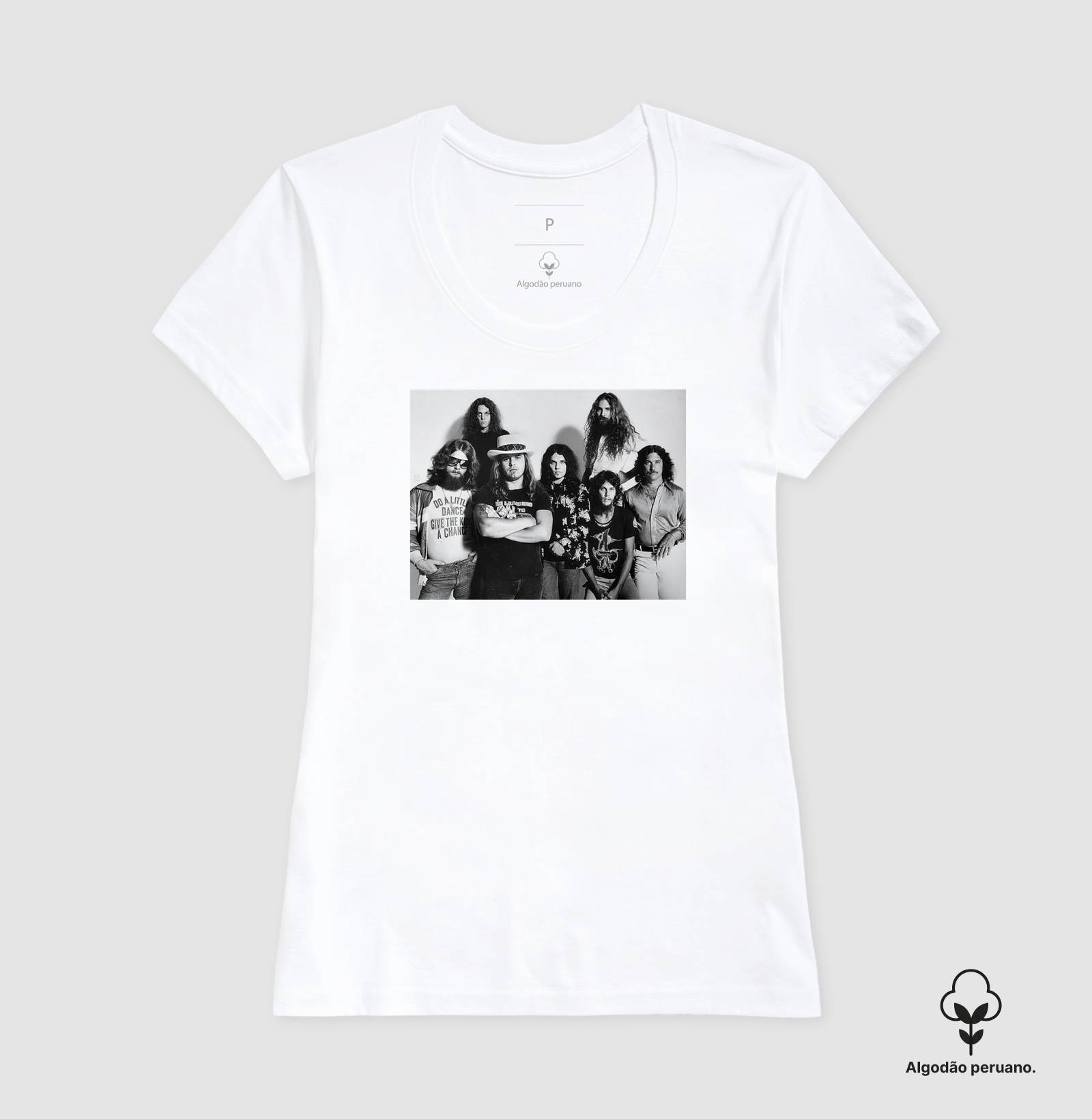 Lynyrd Skynyrd - 1977 - Imagem 4