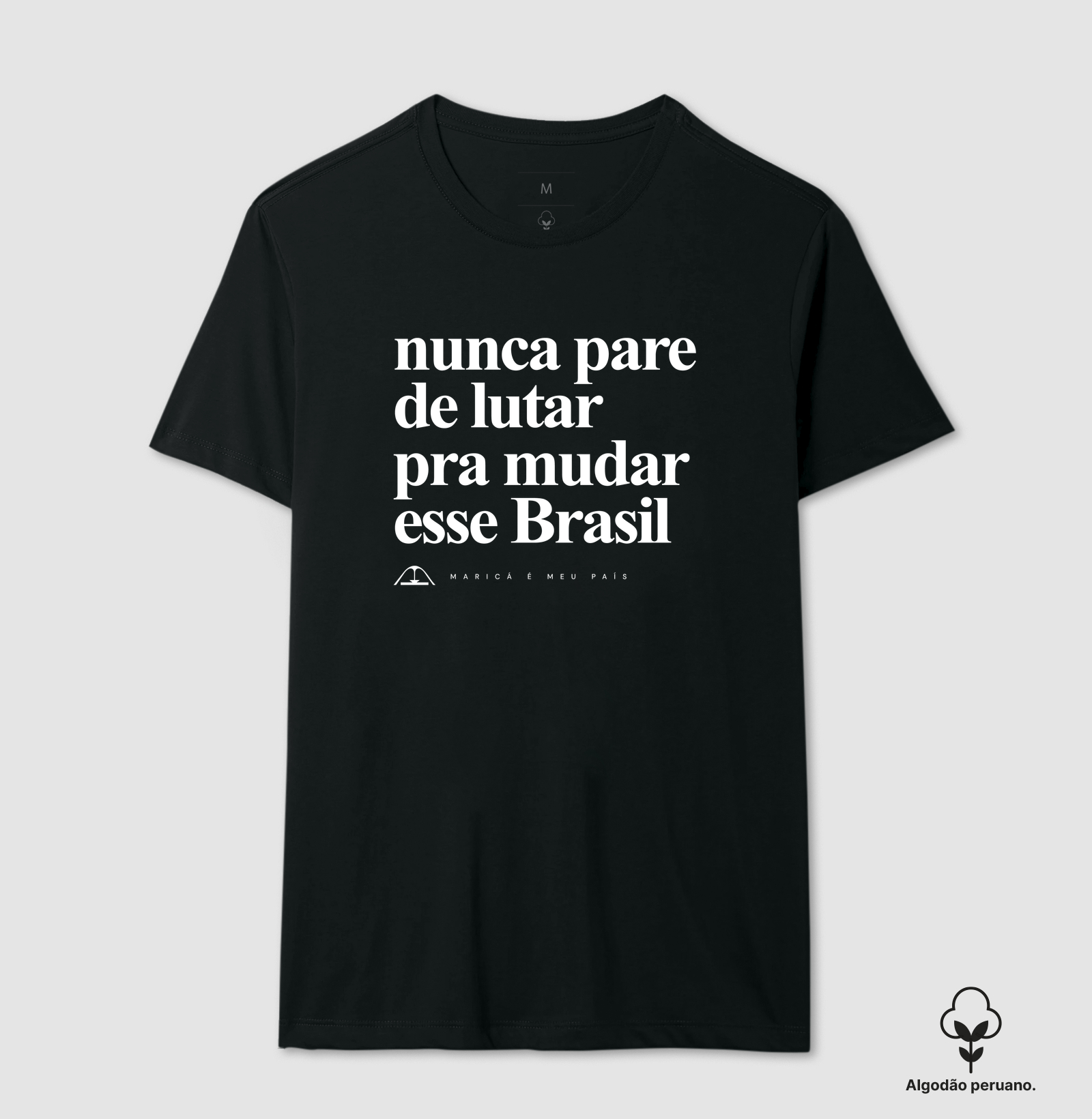 Nunca pare de lutar pra mudar esse Brasil - Imagem 4