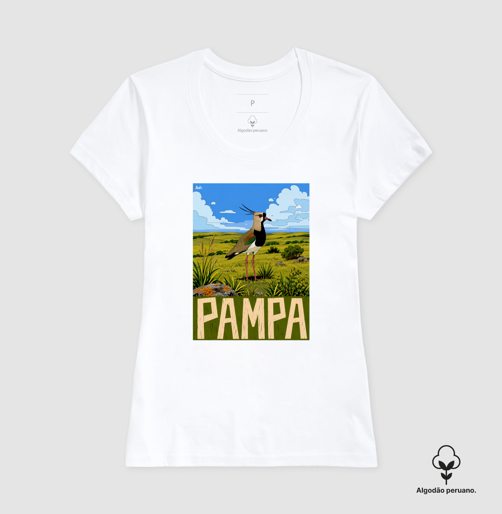 Pampa - Imagem 9