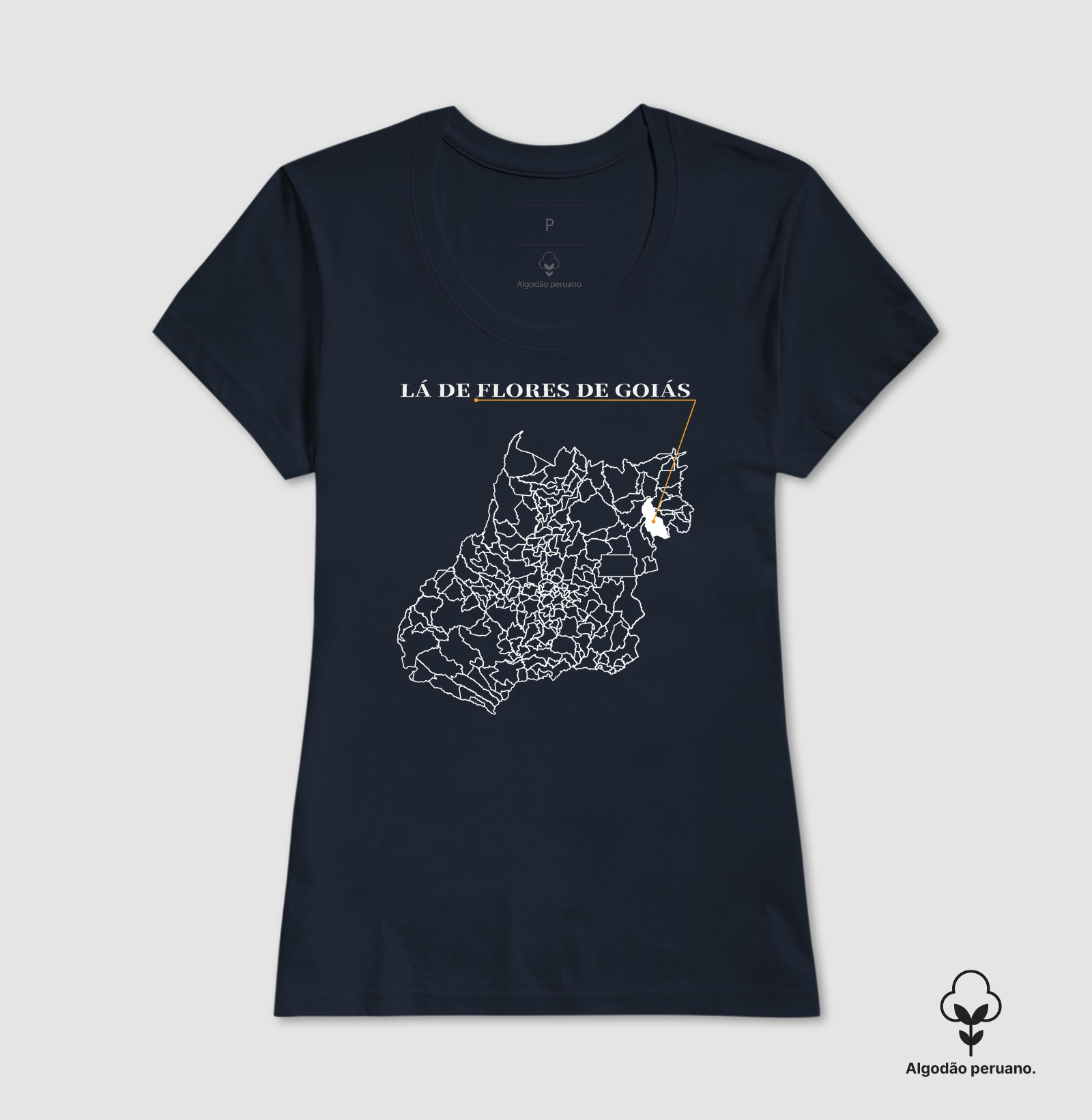 Flores de Goiás | Origem GO - Imagem 2