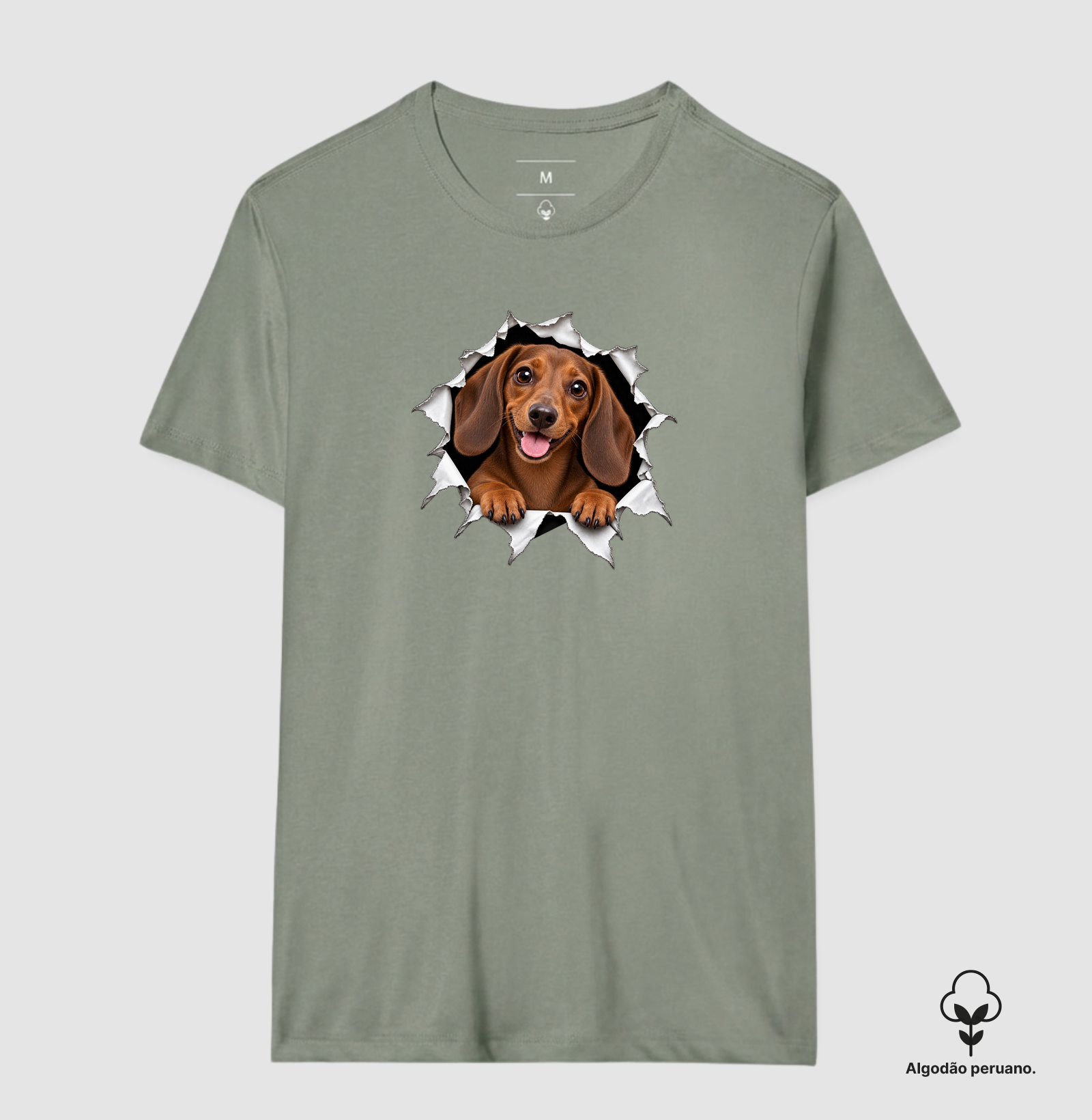 Dachshund Saindo Pelo Rasgo - Imagem 4