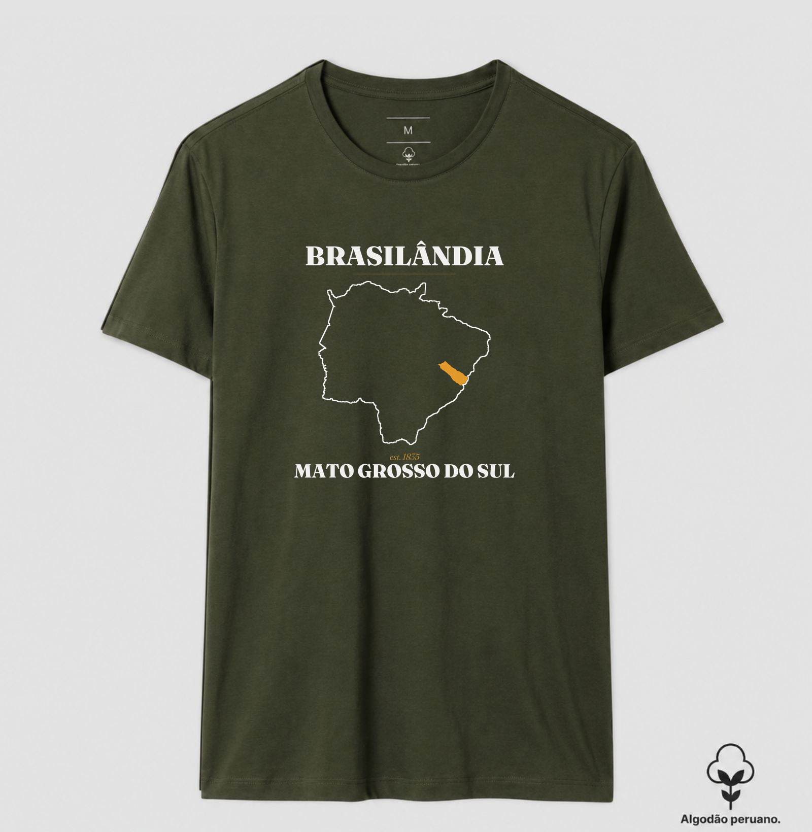 Brasilândia | Legado MS - Imagem 5