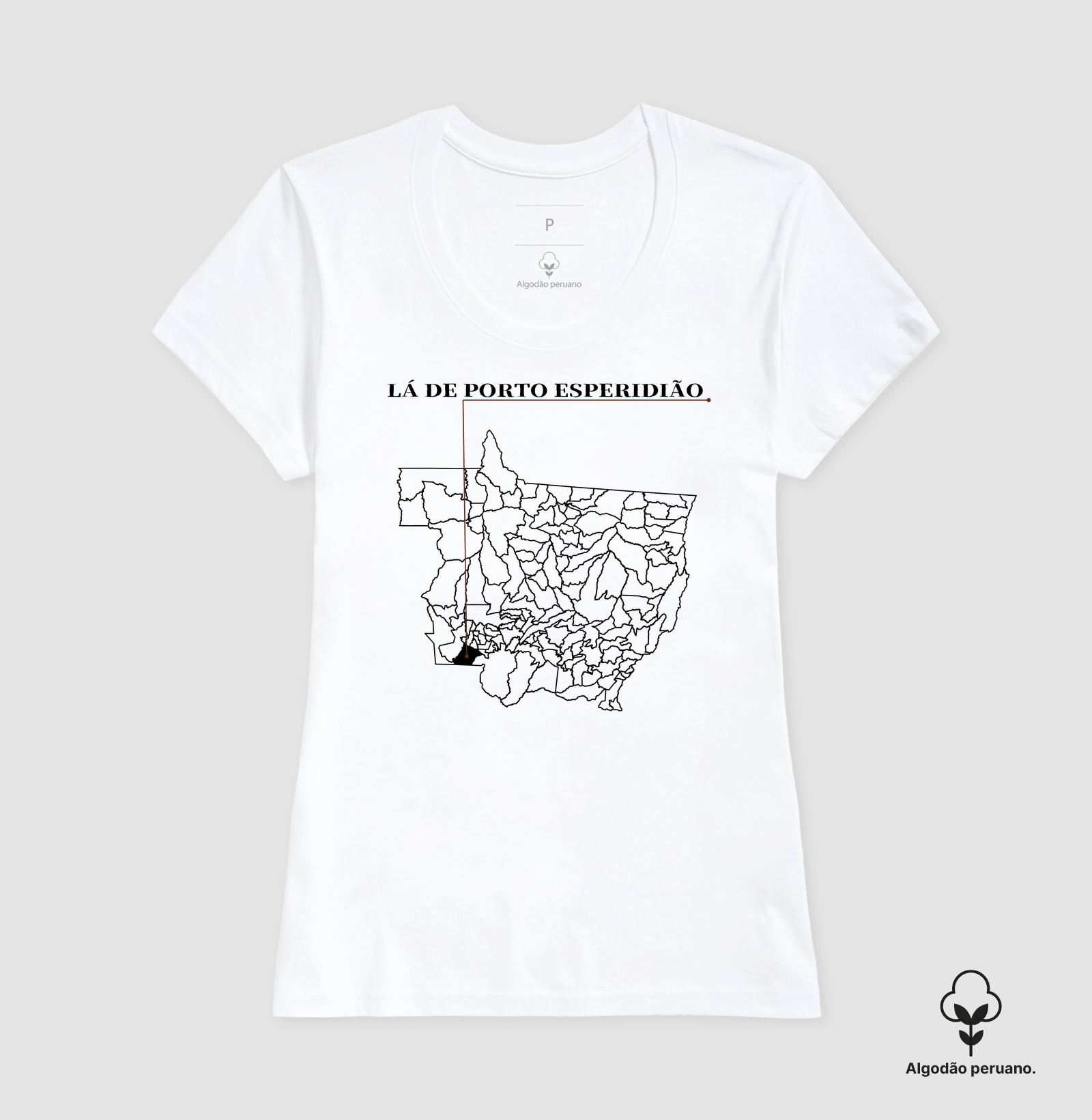 Porto Esperidião | Origem MT - Imagem 3