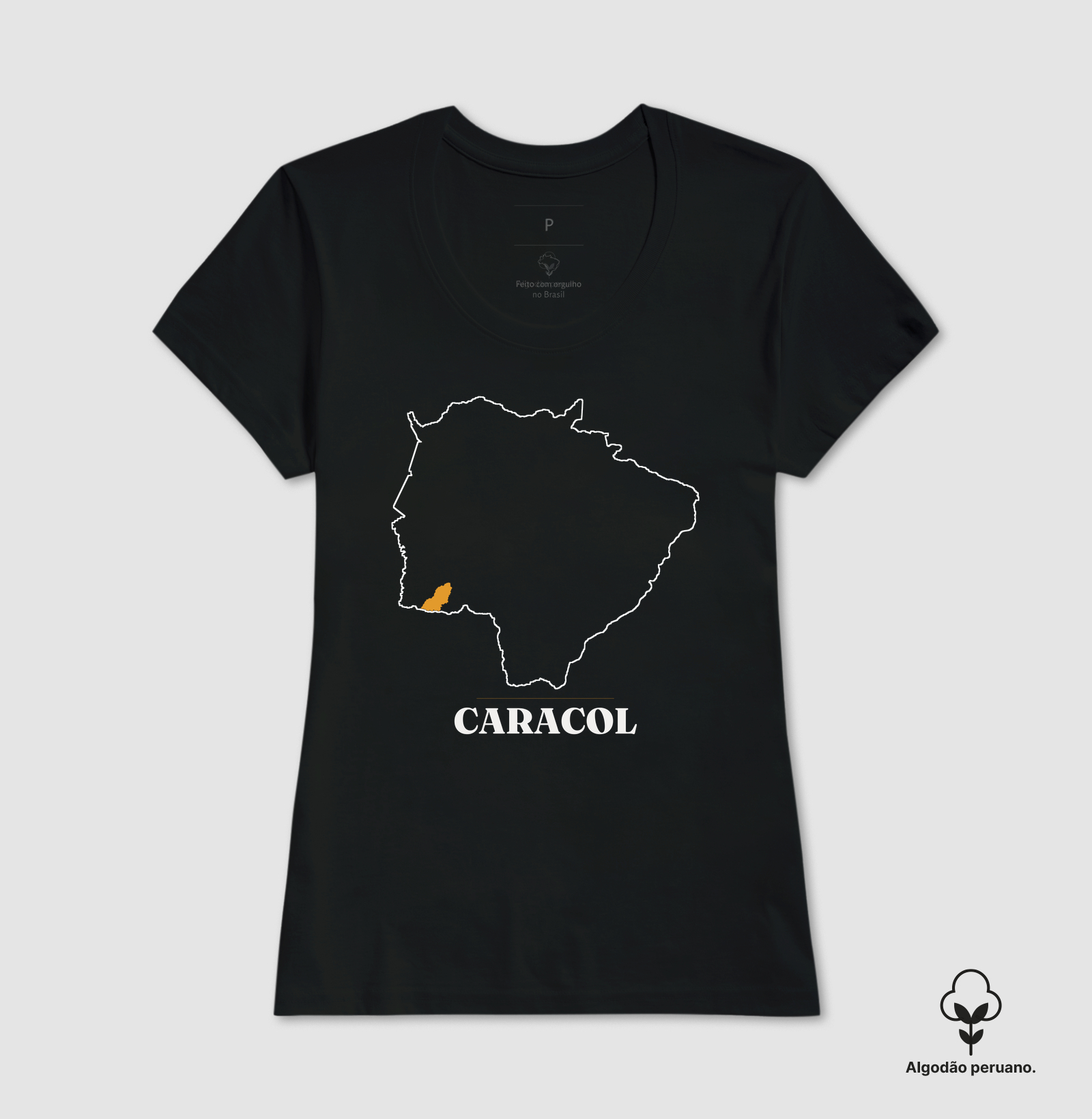 Caracol | Traço MS - Imagem 6