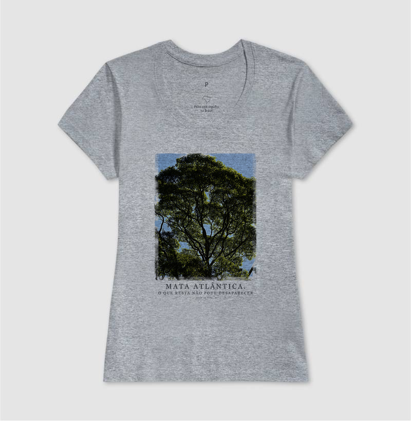 Mata Atlântica - Imagem 5