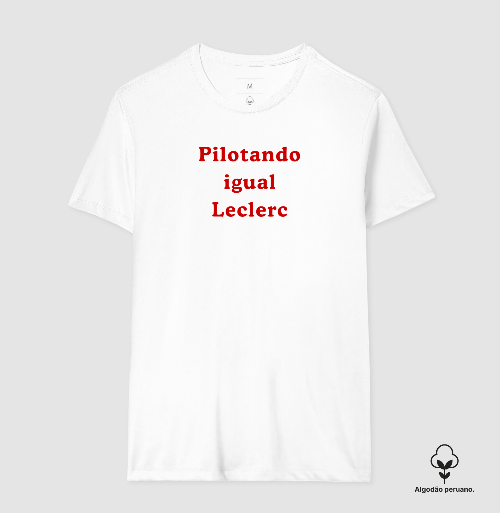 Pilotando igual o Leclerc - Imagem 5
