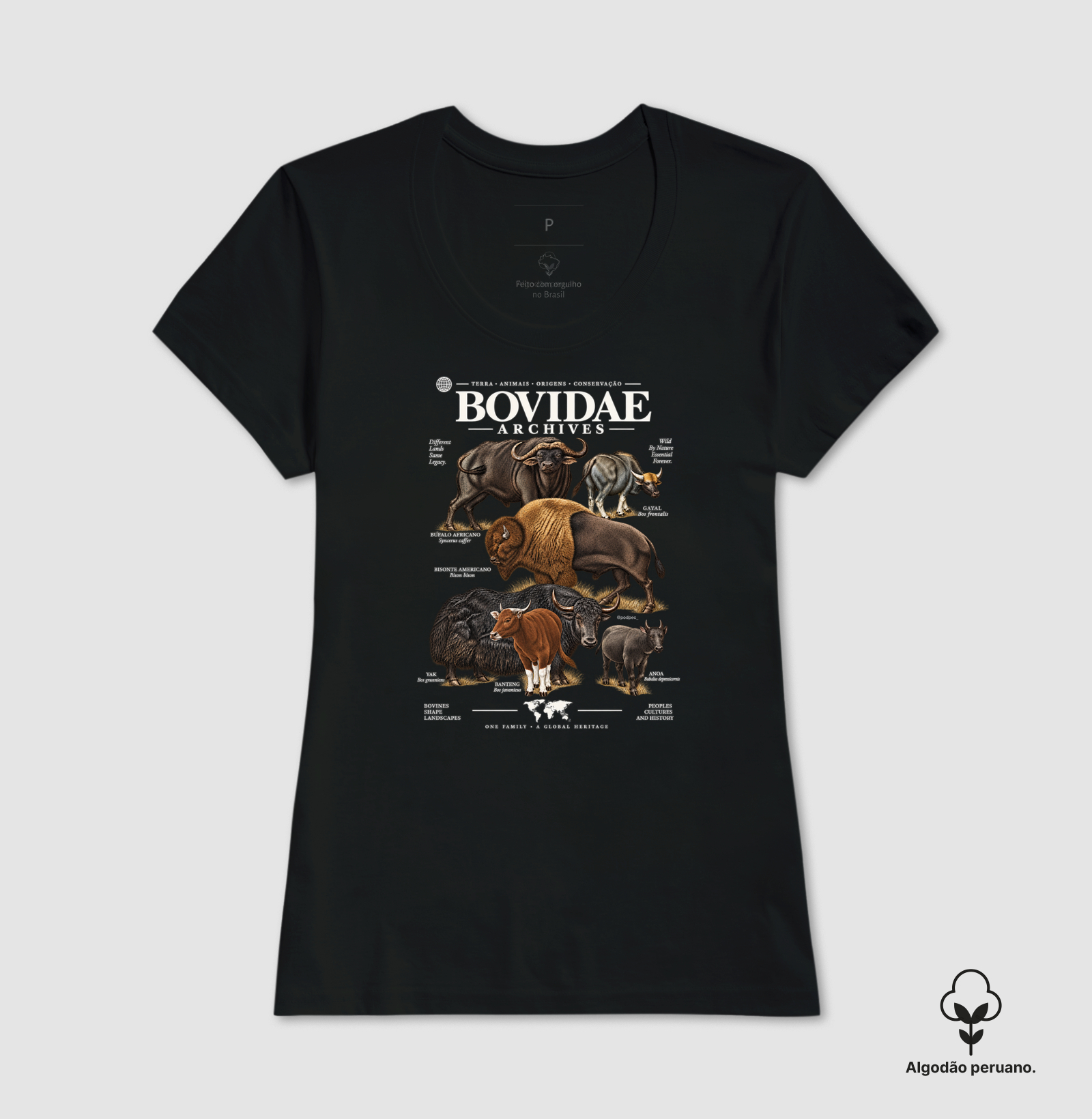 Bovidae Archives - Imagem 7