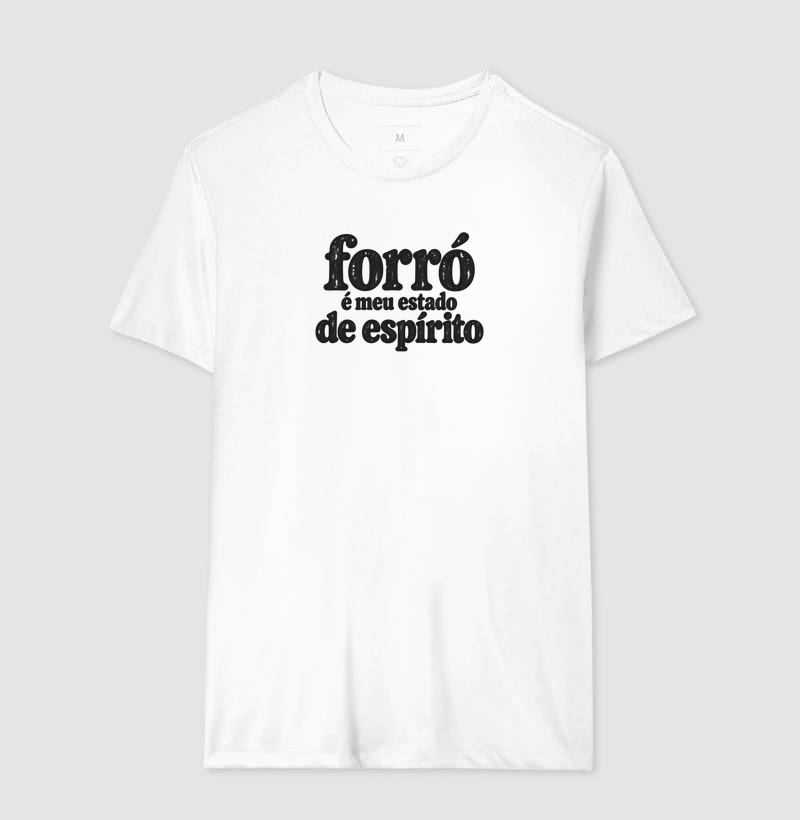 Forró é meu estado de espírito - Imagem 4