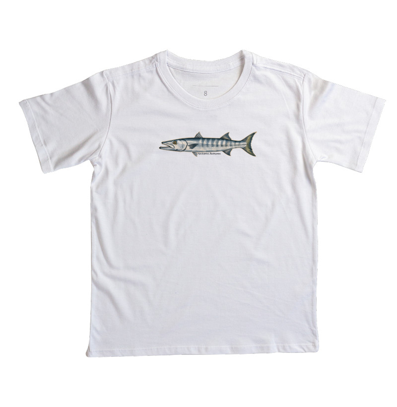 Barracuda - Imagem 5