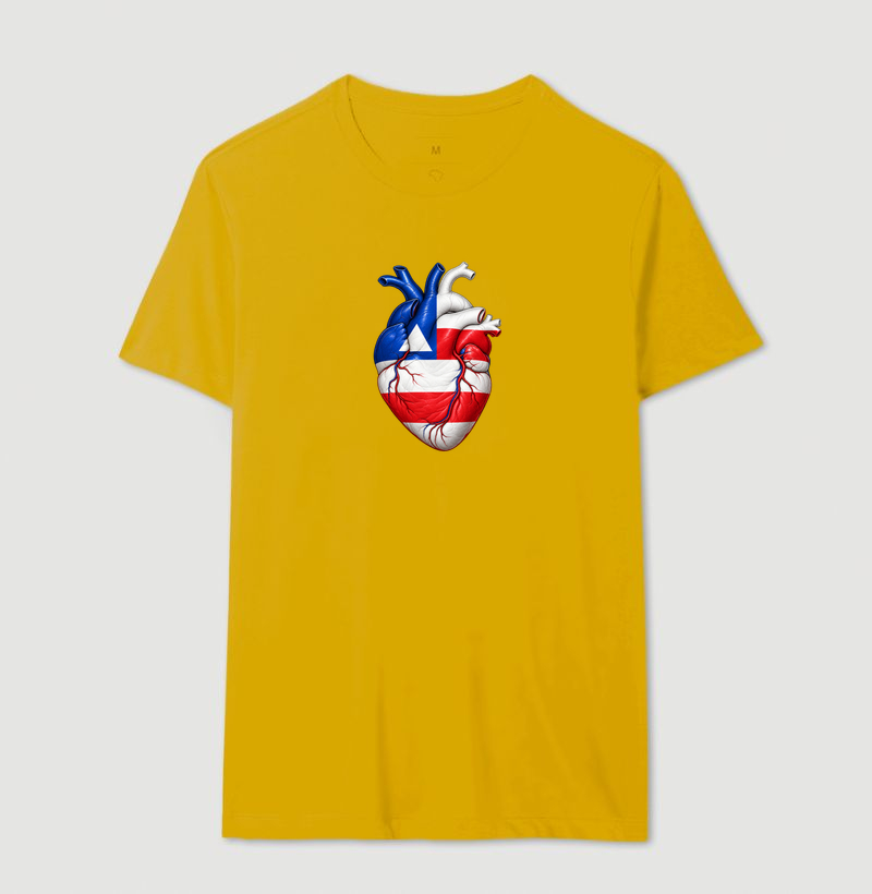 Bahia | Coração - Imagem 14