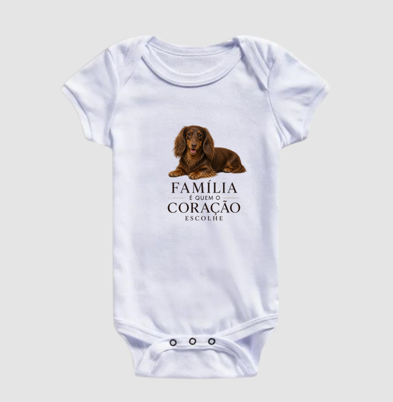 Dachshund Pelo Longo Marrom - Família - Imagem 3