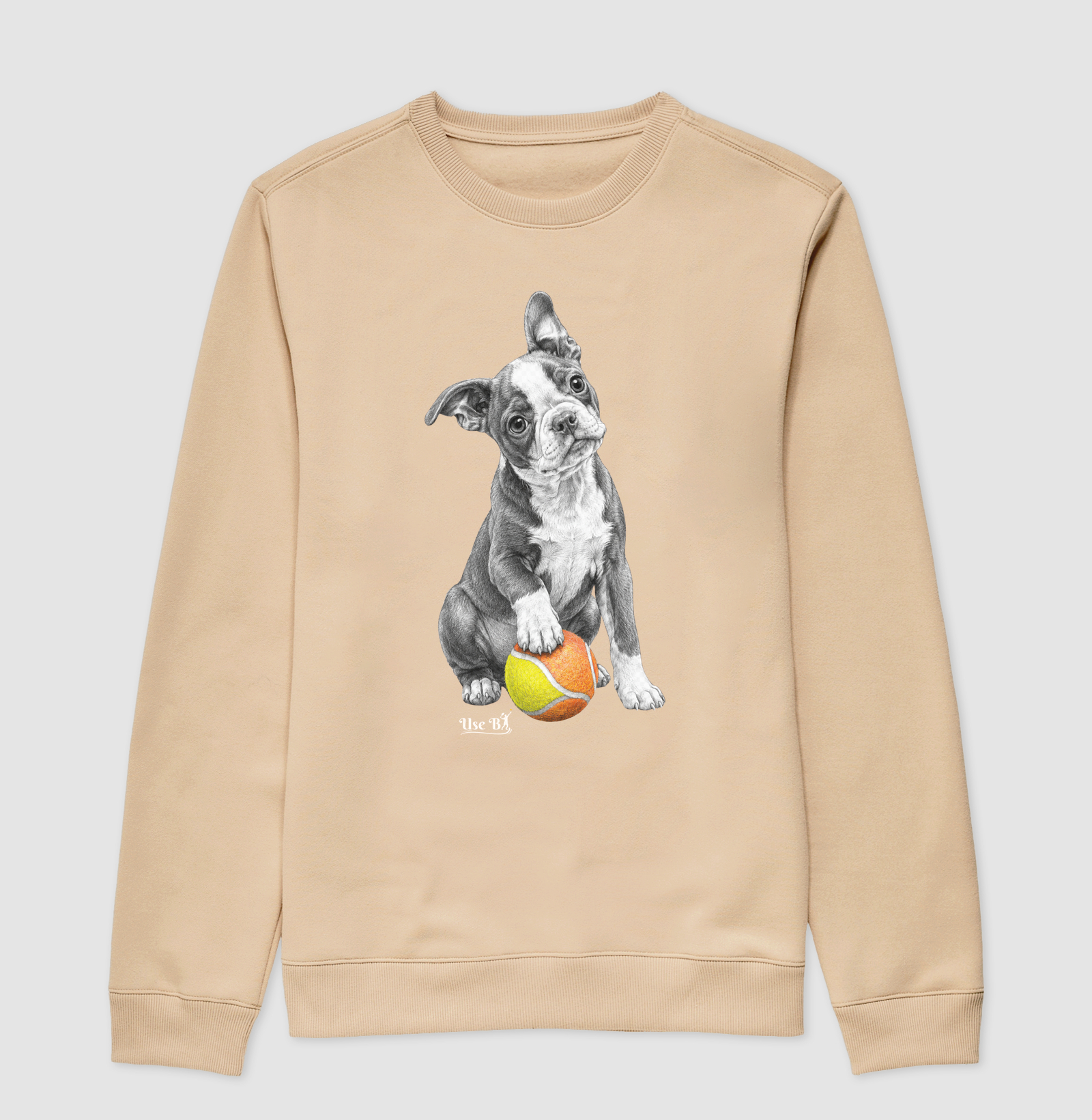 Boston Terrier do Beach - Imagem 3