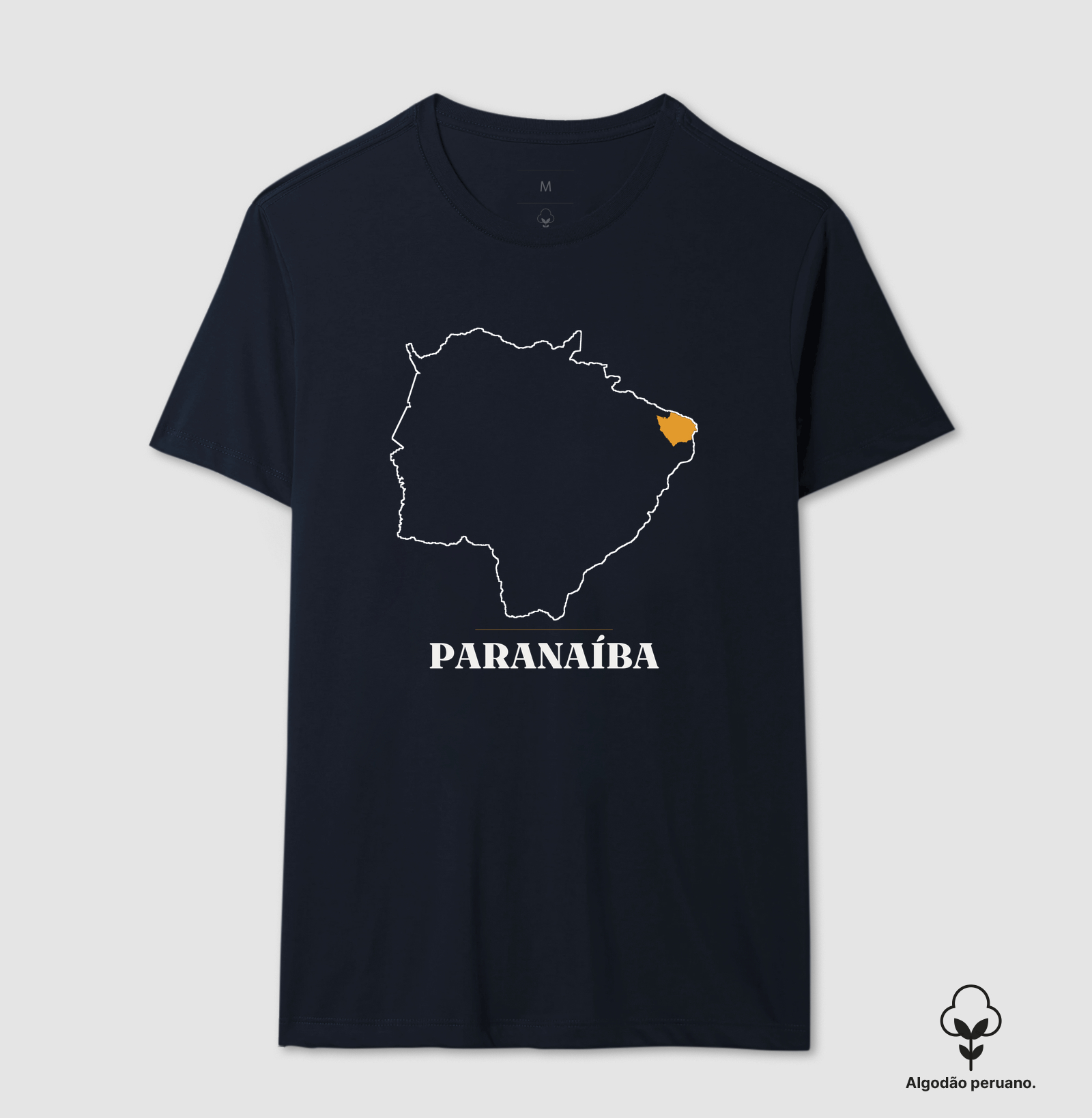 Paranaíba | Traço MS - Imagem 7