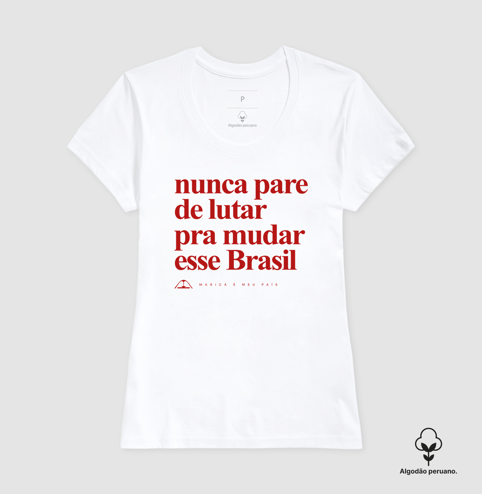 Nunca pare de lutar pra mudar esse Brasil - Imagem 7