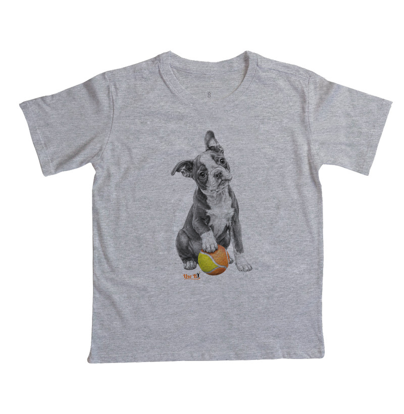 Boston Terrier do Beach - Imagem 2