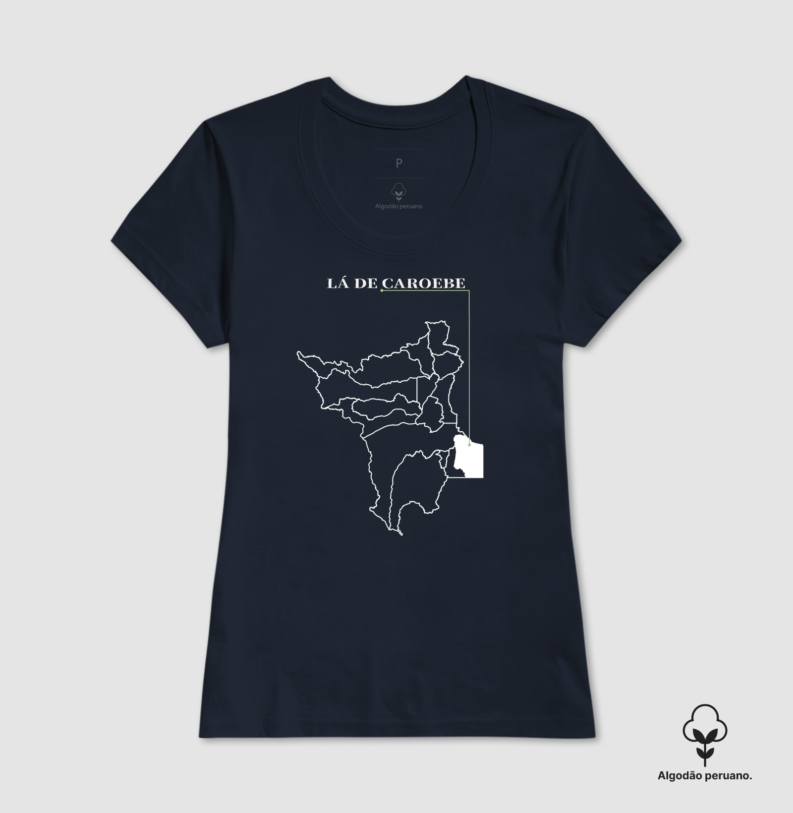 Caroebe | Origem RR - Imagem 6