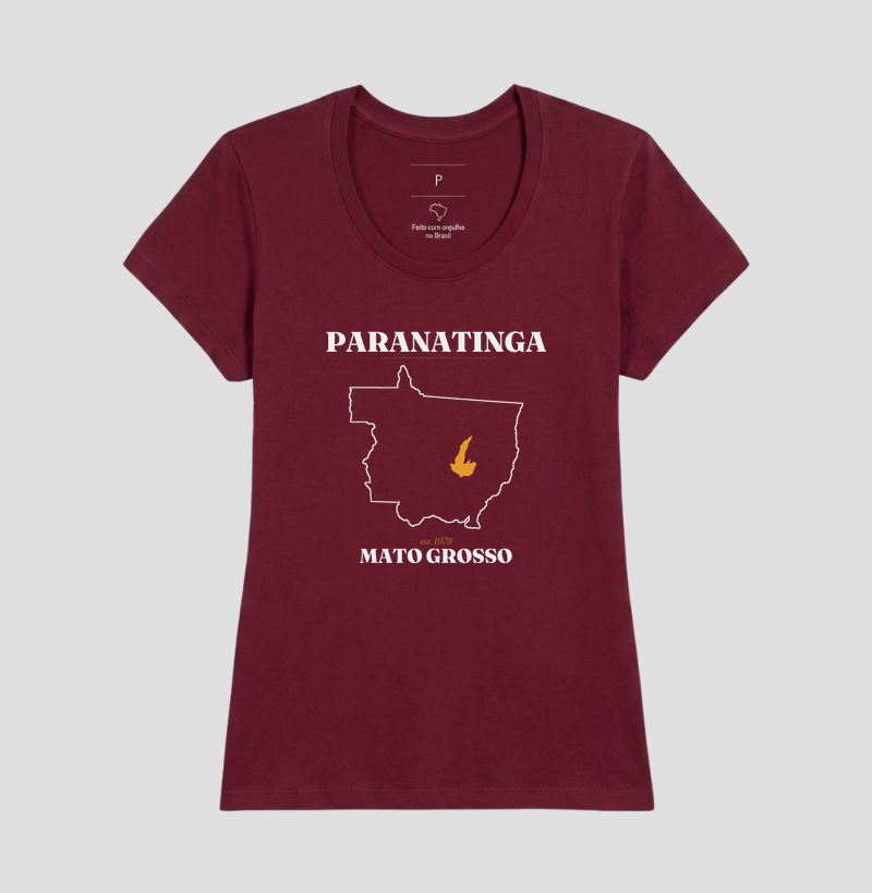 Paranatinga | Legado MT - Imagem 19