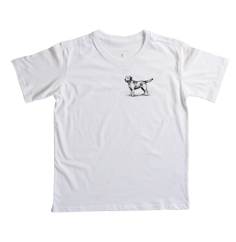 Labrador - Desenho - Imagem 2