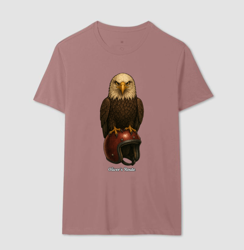 The Eagle and the Helmet - Imagem 16
