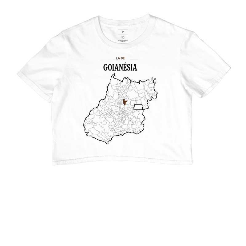 Goianésia | Território GO - Imagem 3