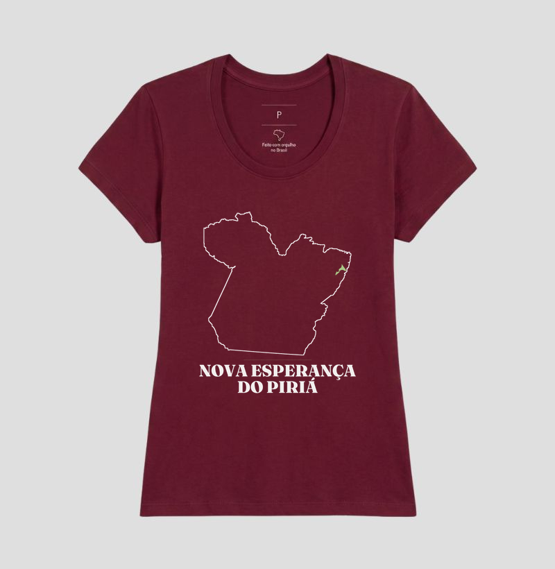 Nova Esperança do Piriá | Traço PA - Imagem 19