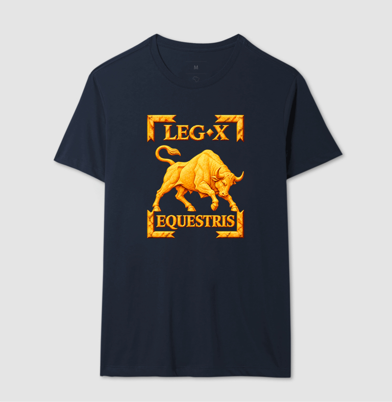 LEGIO — X Equestris - III - Imagem 4