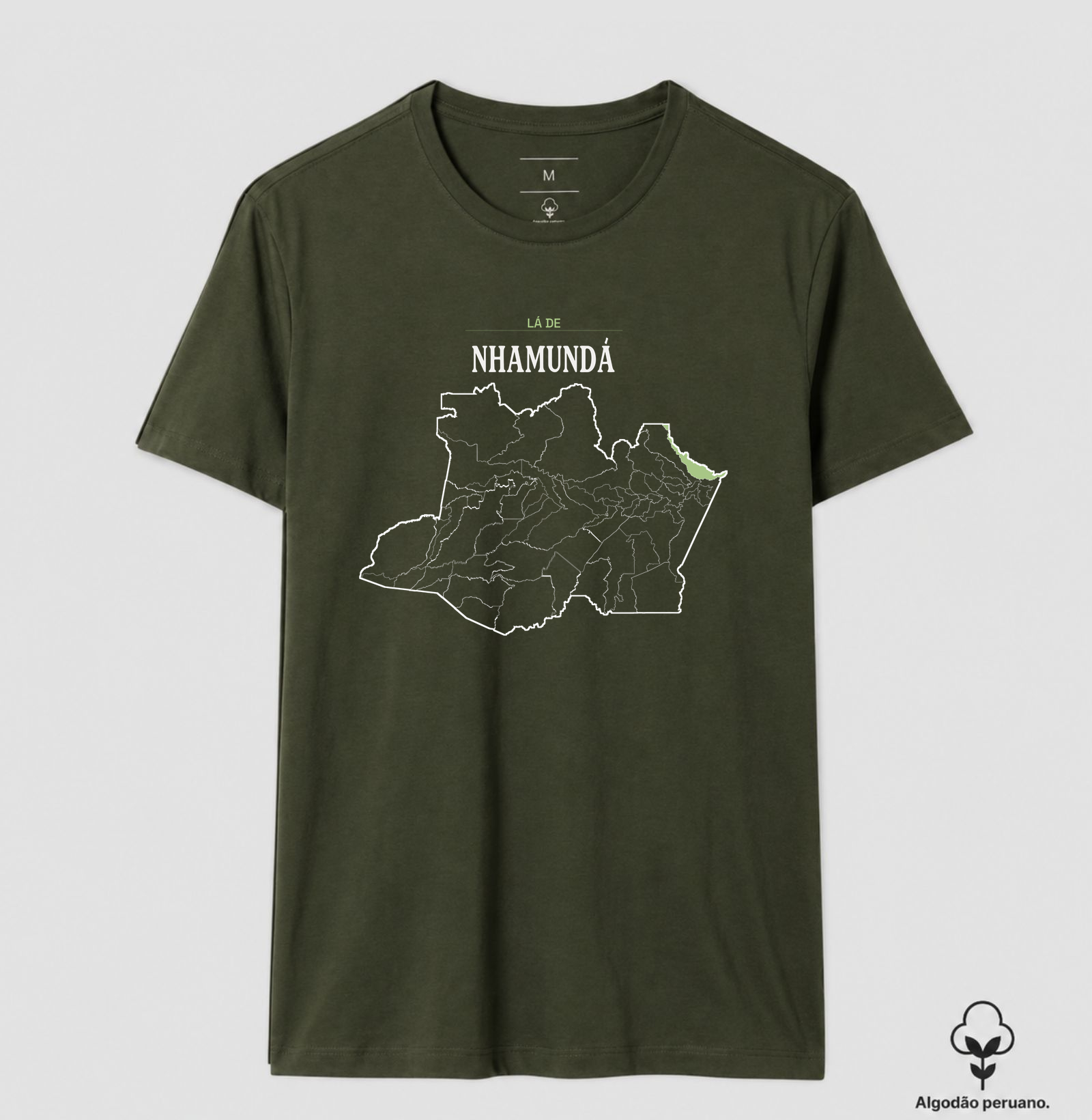 Nhamundá | Território AM - Imagem 2