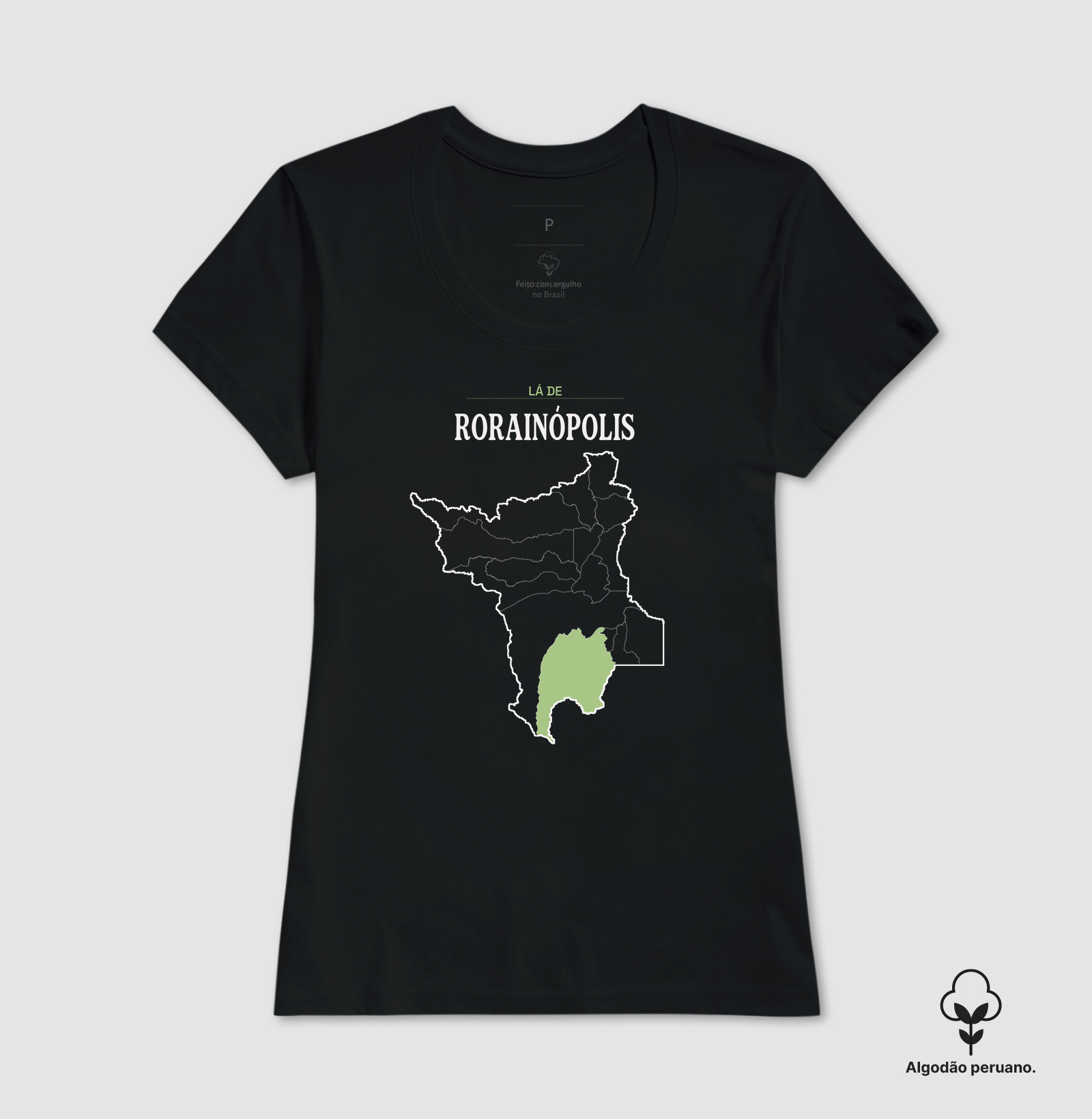 Rorainópolis | Território RR - Imagem 3