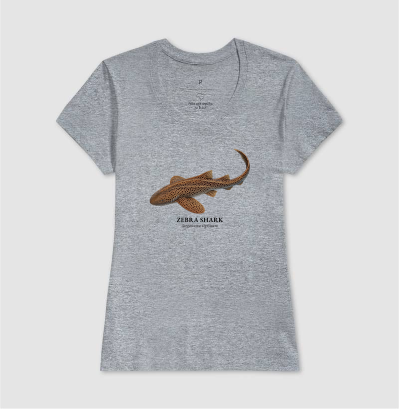 Zebra Shark - Imagem 10